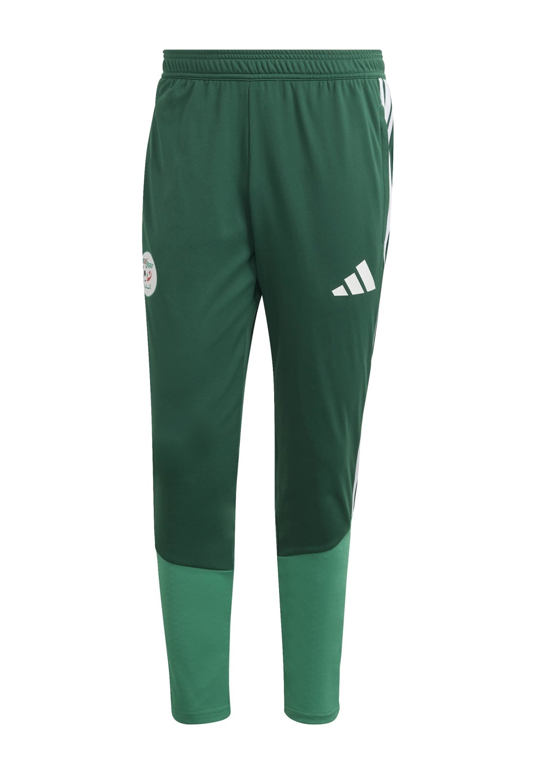 ALGERIA 26 TRAINING - National team wear - team dark green