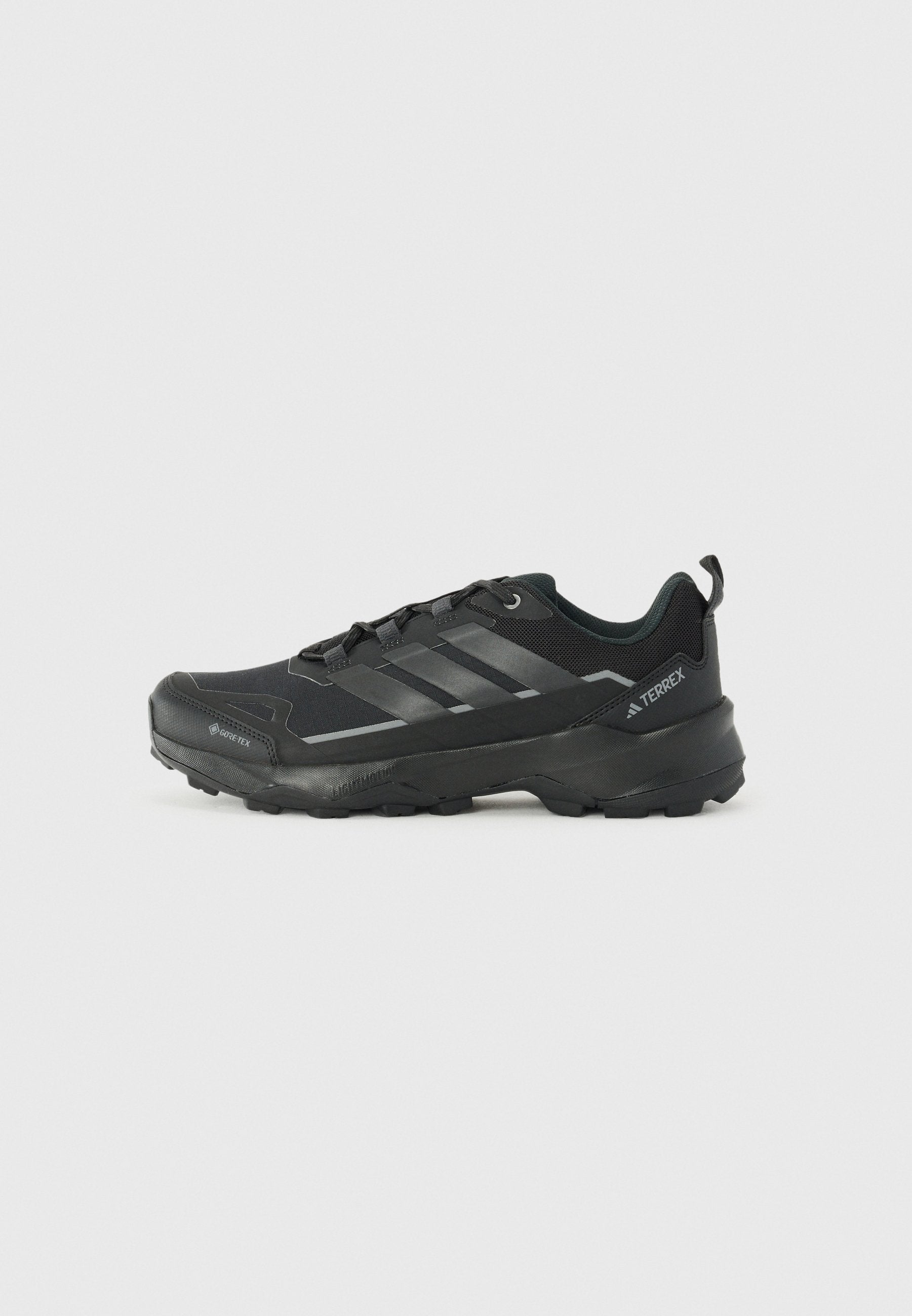 SKYCHASER AX5 GTX - Hiking shoes - core black/carbon