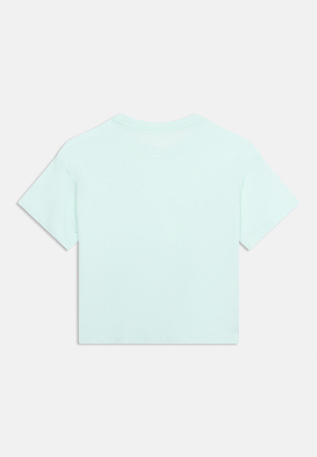 TEE BOXY - Basic T-shirt - barely green