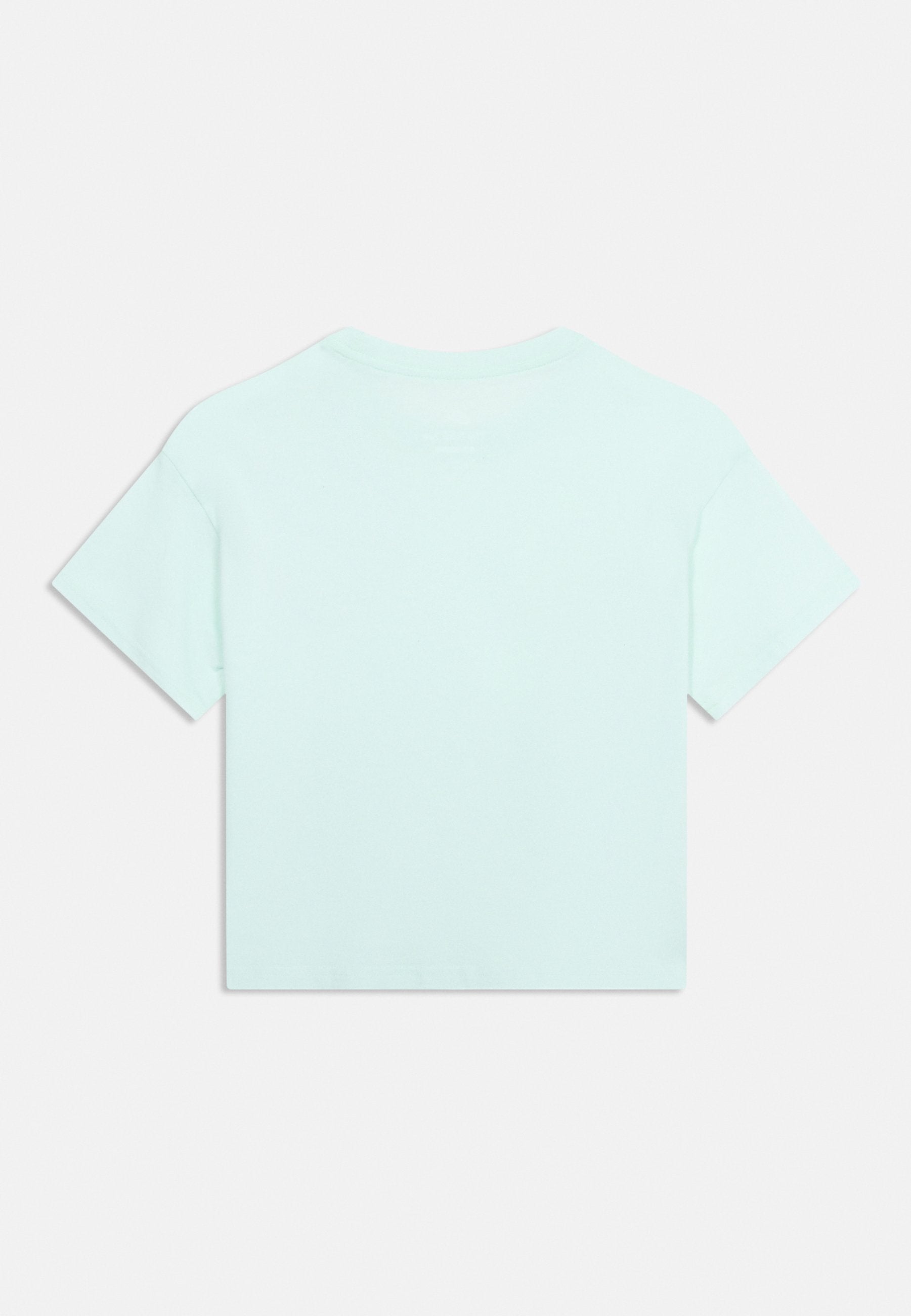 TEE BOXY - Basic T-shirt - barely green