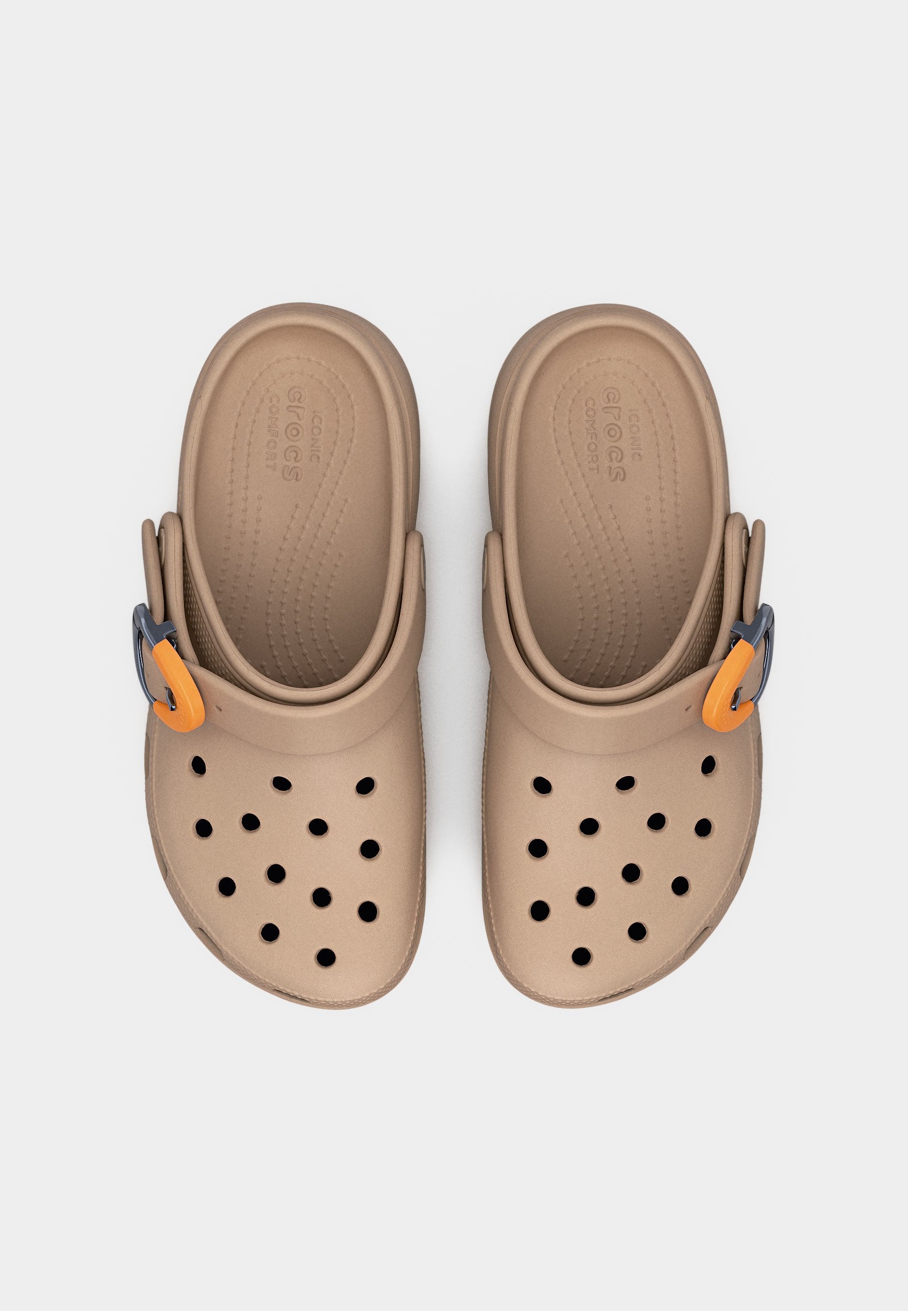 CLASSIC PLATFORM BUCKLE - Mules - dulce