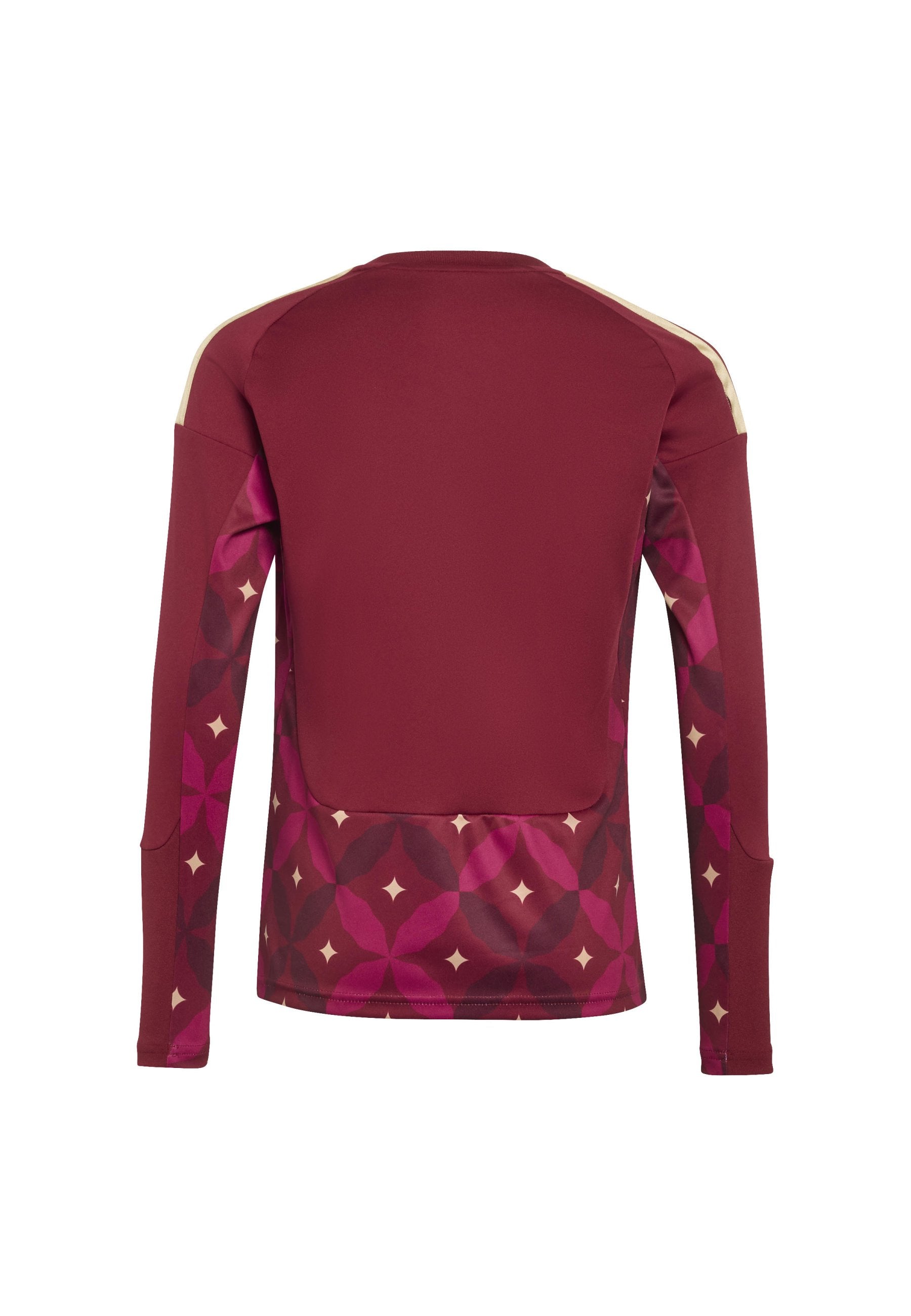 ITALY 26 HOME GOALKEEPER LONG SLEEVE - National team wear - team coll burgundy