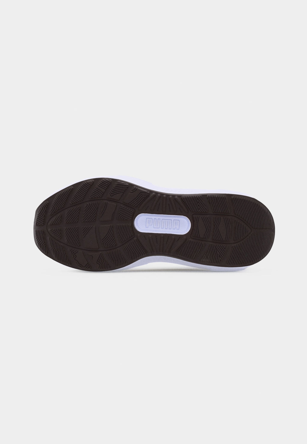 SOFTRIDE ENZO 5 ANIMAL - Chaussures d'entraînement - alpine snow/chocolate brown/white