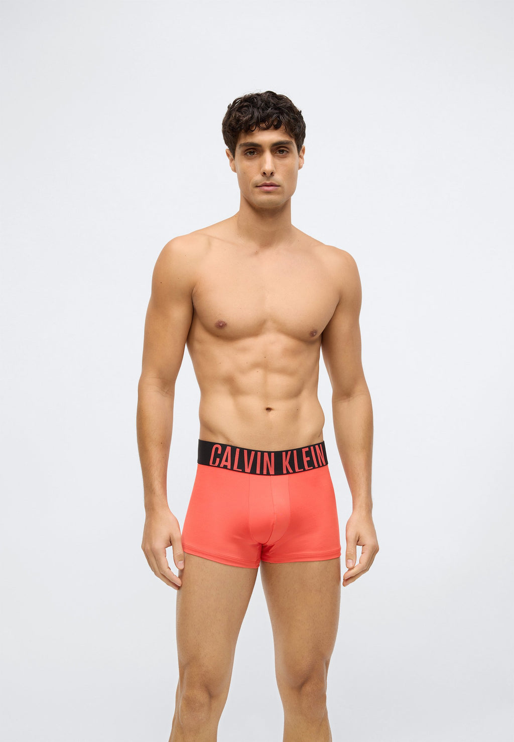 TRUNK 3 PACK INTENSE POWER MICROFIBER - Trunks - black/turbulence/vermillion brown