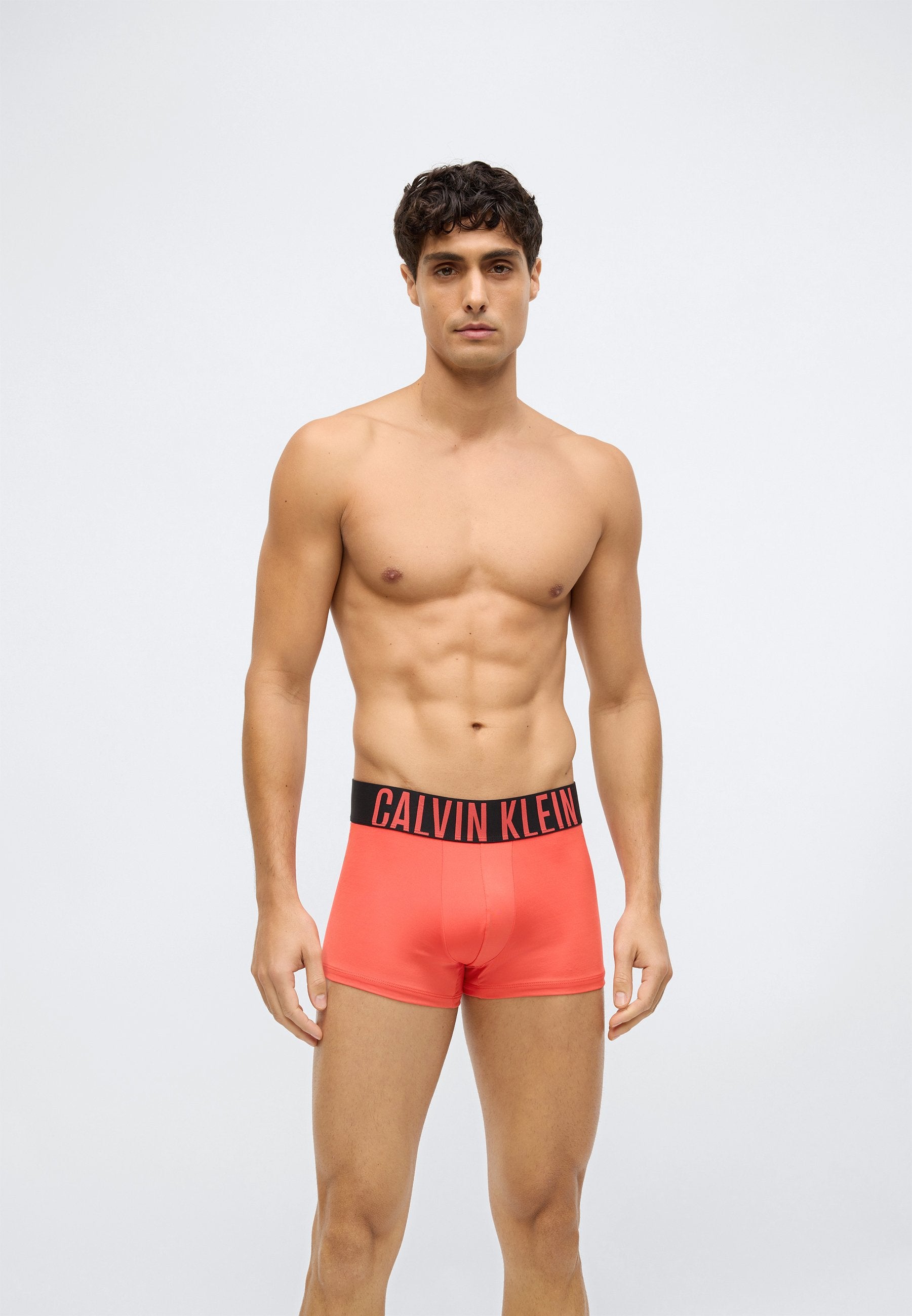 TRUNK 3 PACK INTENSE POWER MICROFIBER - Trunks - black/turbulence/vermillion brown
