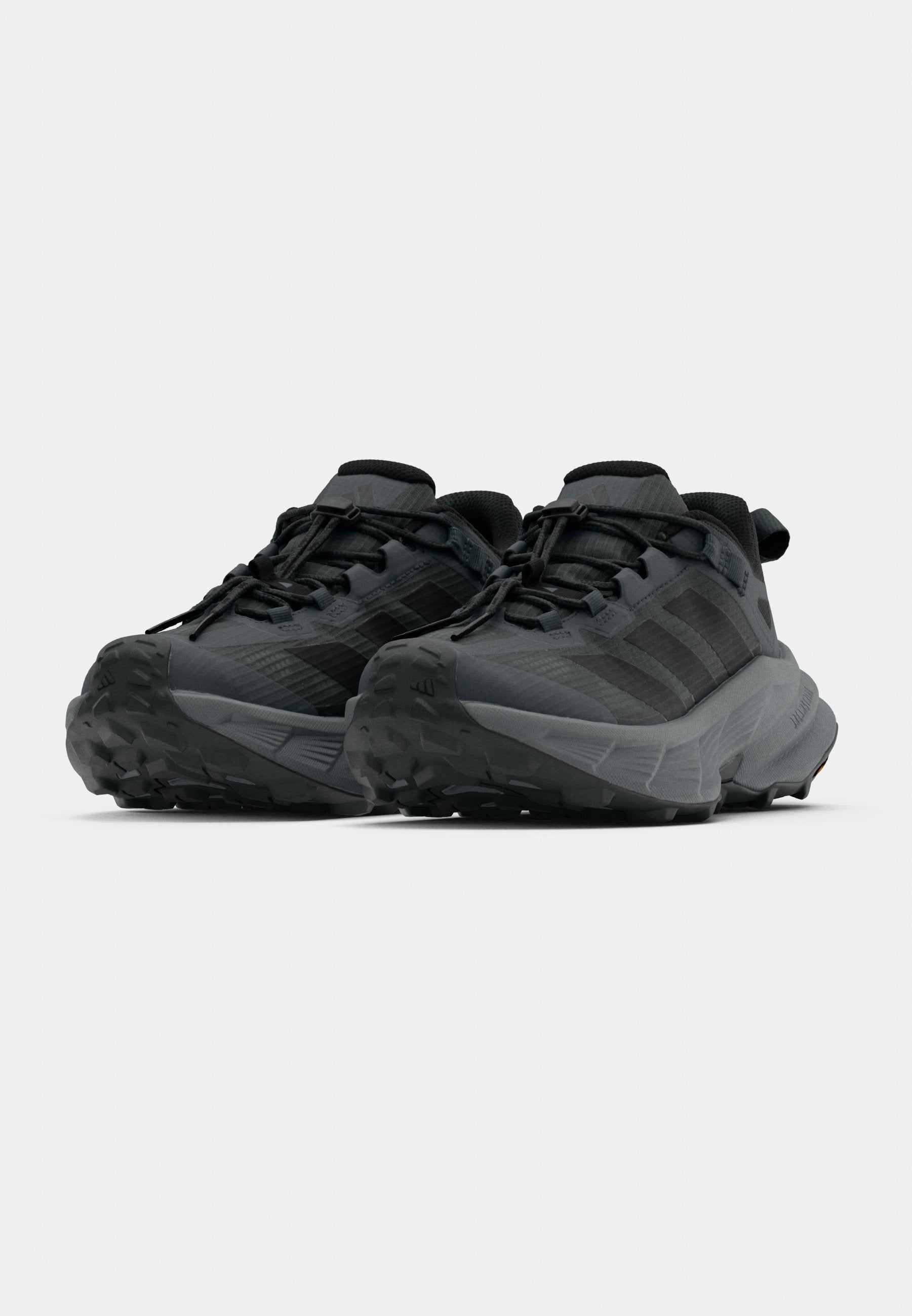 TERREX FREEHIKER SL GTX  W - Hiking shoes - grey six/core black/grey three