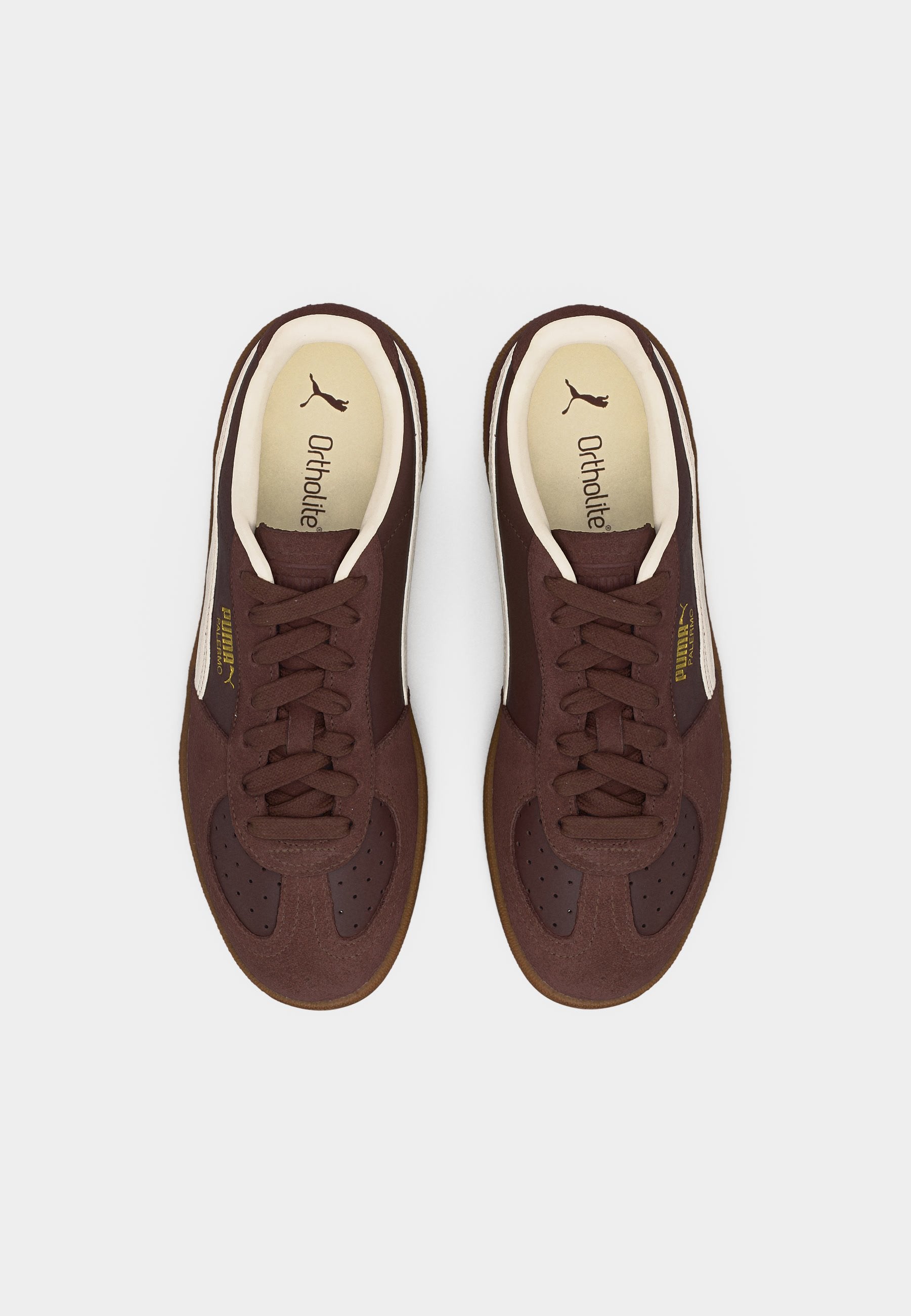PALERMO CLUB HOUSE UNISEX - Baskets - chocolat/blanc chaud