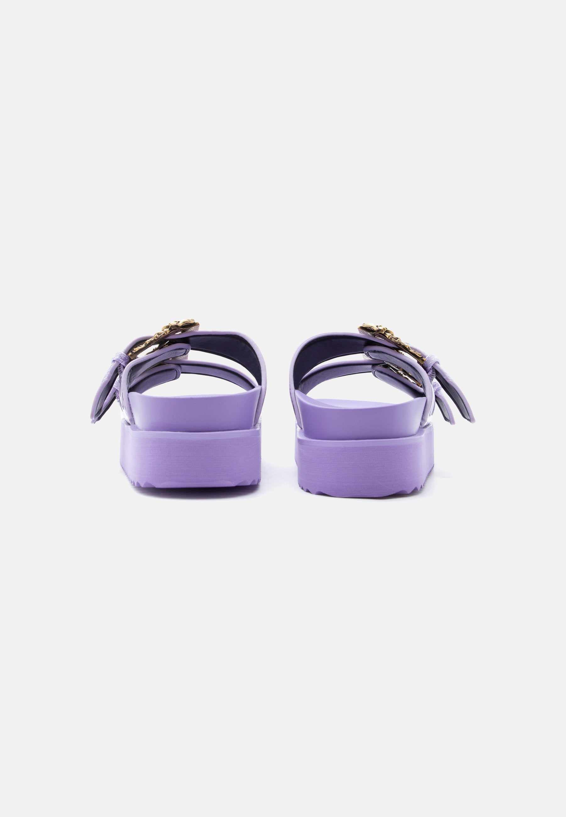 FONDO ARIZONA - Mules - lilac
