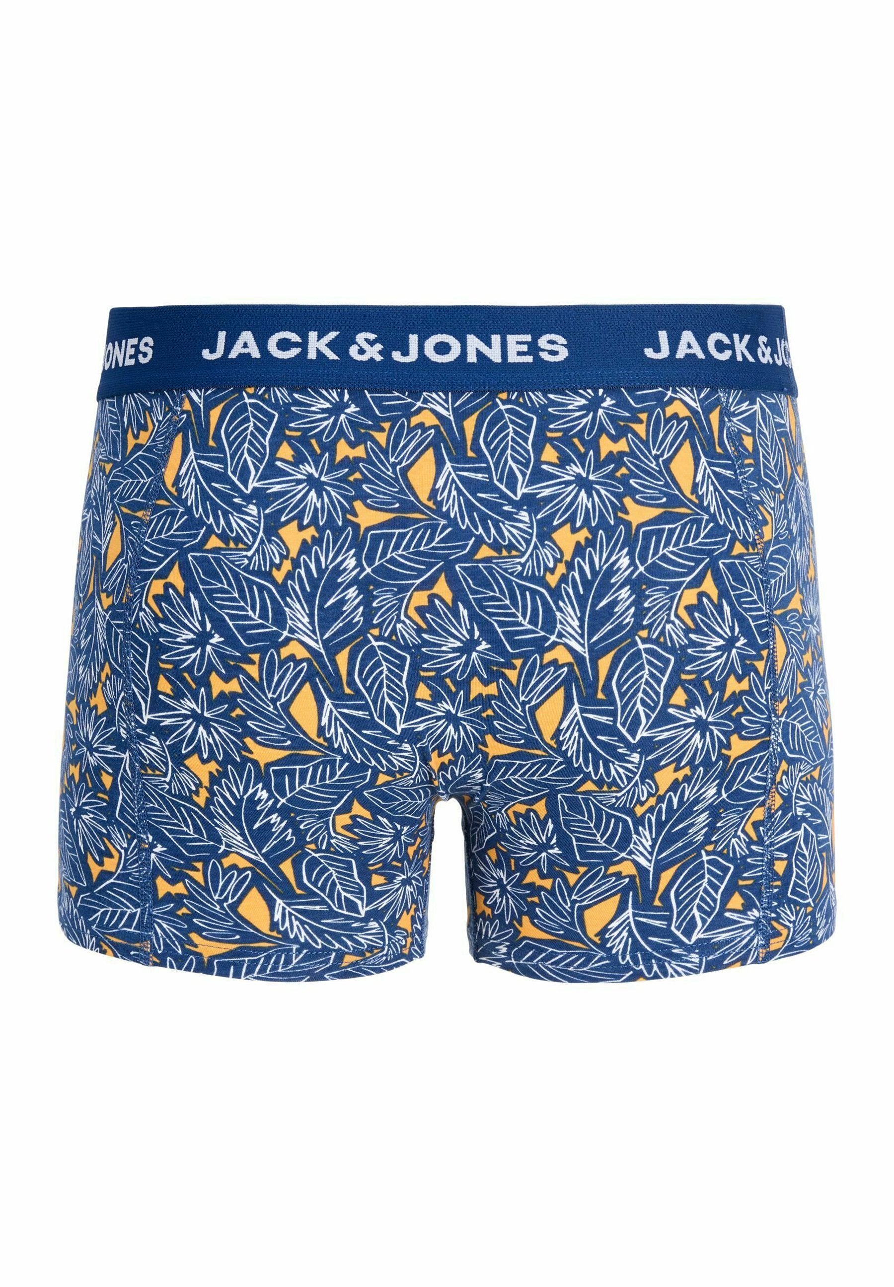 TRUNKS 5-PACK TRUNKS - Trunks - bellwether blue