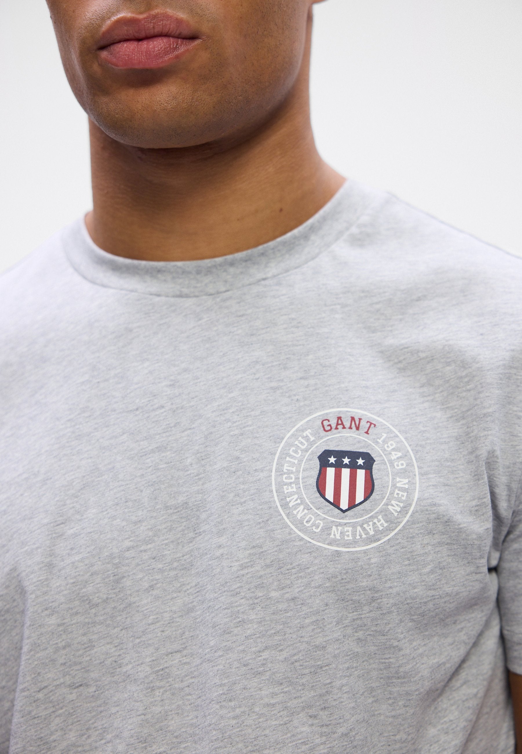 GRAPHIC  - Print T-shirt - grey melange
