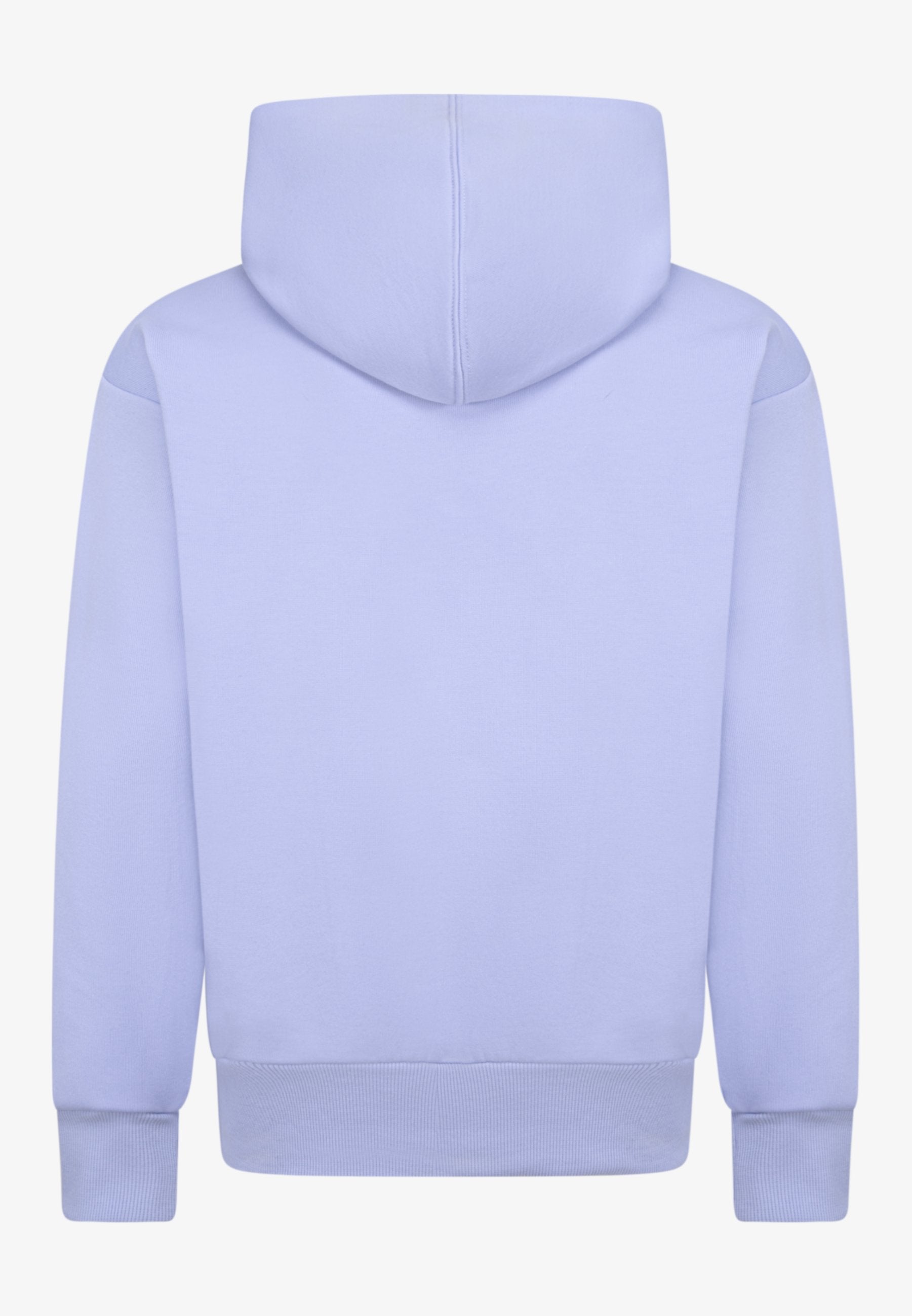 SUSTAINABLE CORE UNISEX - Hoodie - mystic sky