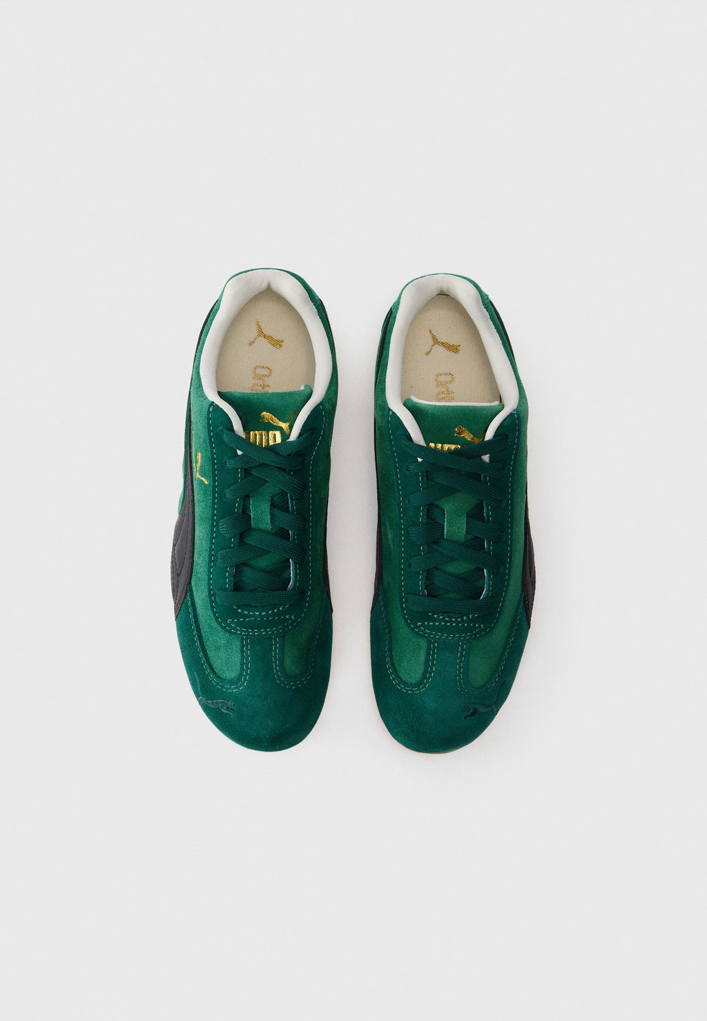 SPEEDCAT  - Trainers - vine/black