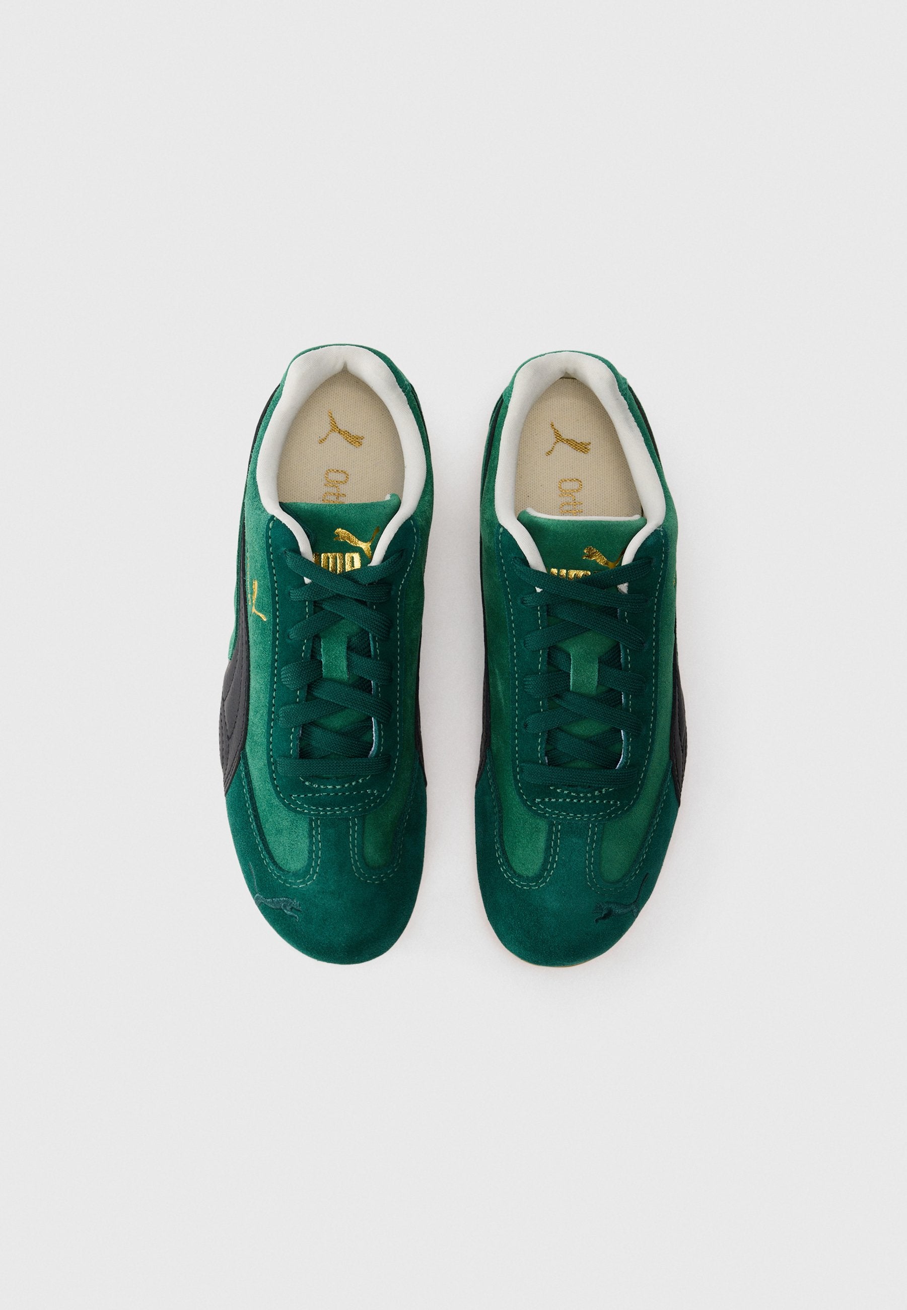 SPEEDCAT  - Trainers - vine/black