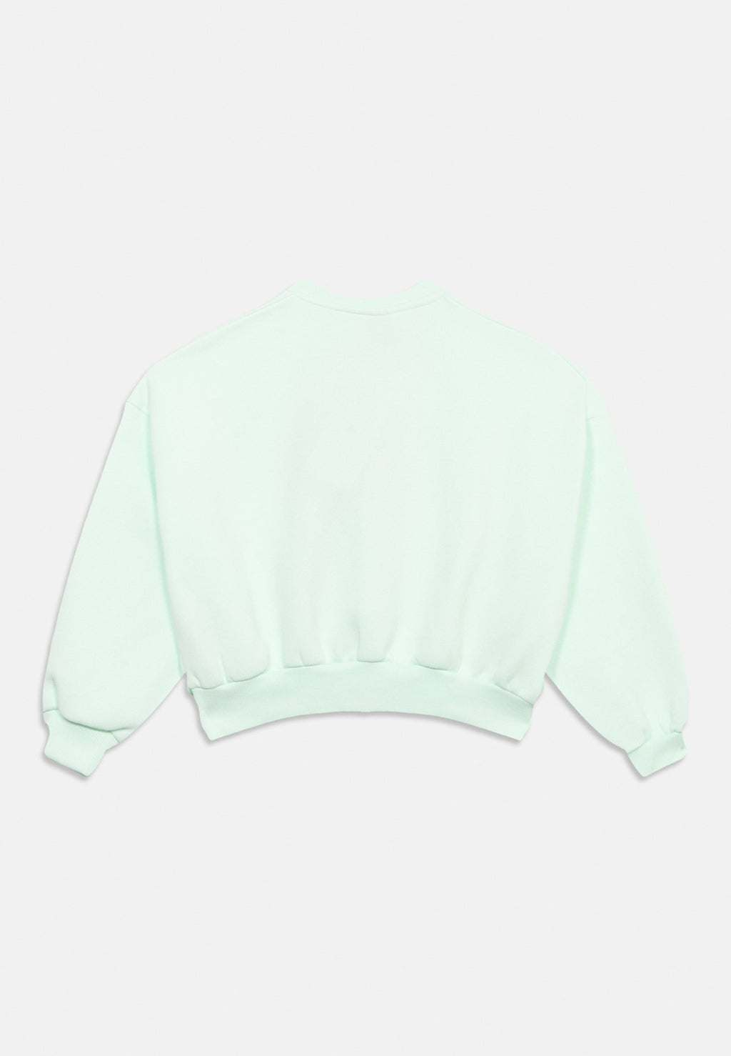 CLUB - Sweatshirt - barely green/white