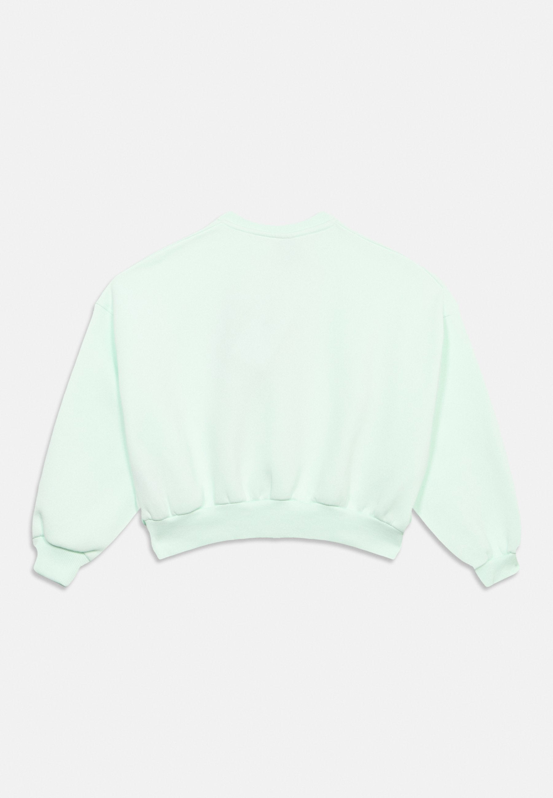 CLUB - Sweatshirt - barely green/white