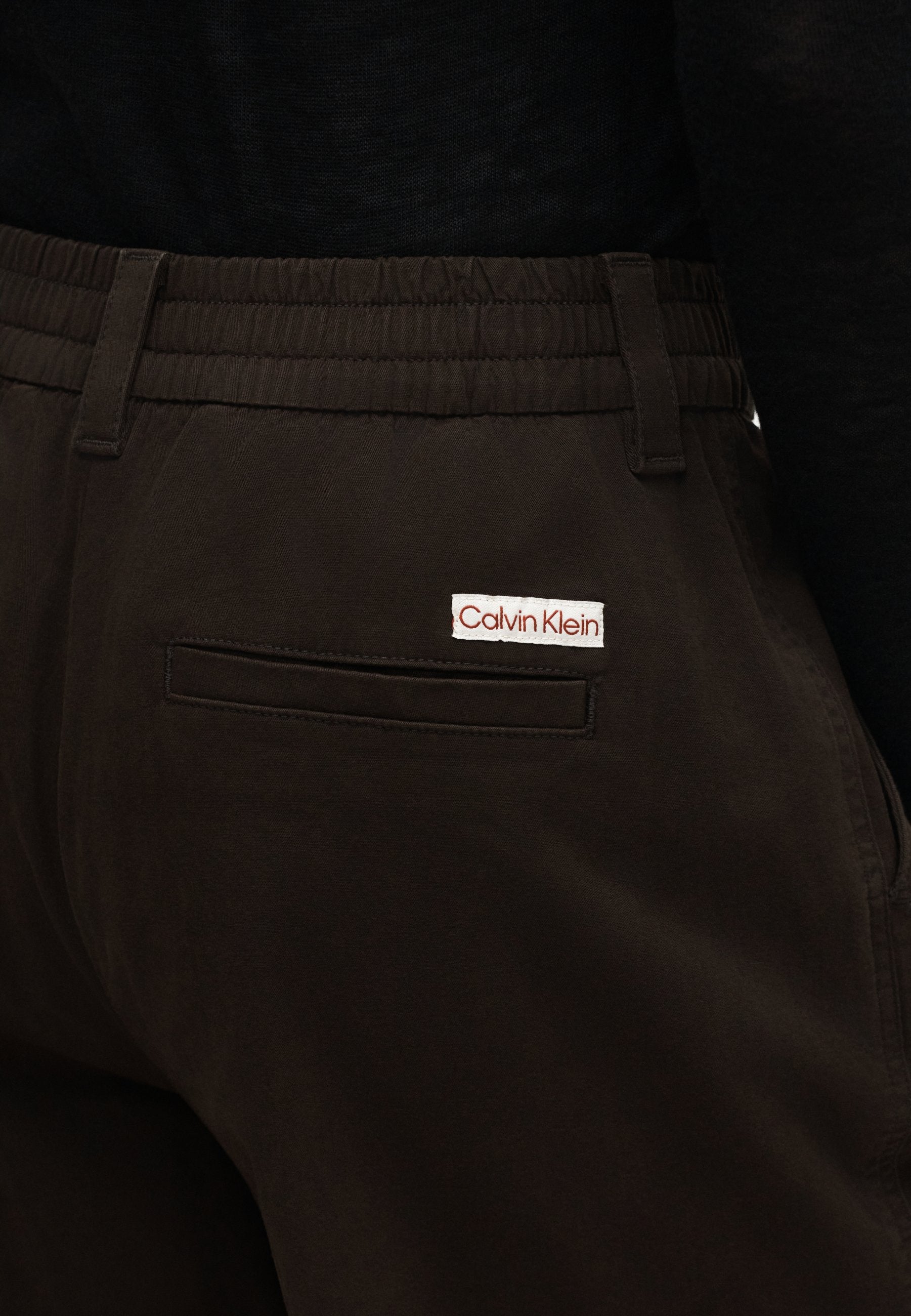 EWAIST - Cargo trousers - dark coffee