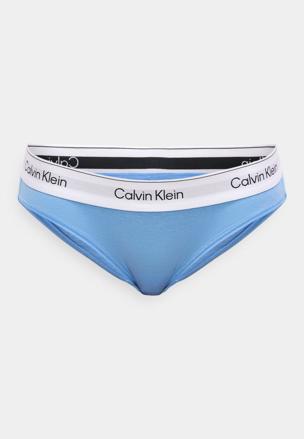 Bikini bottoms - blue descent