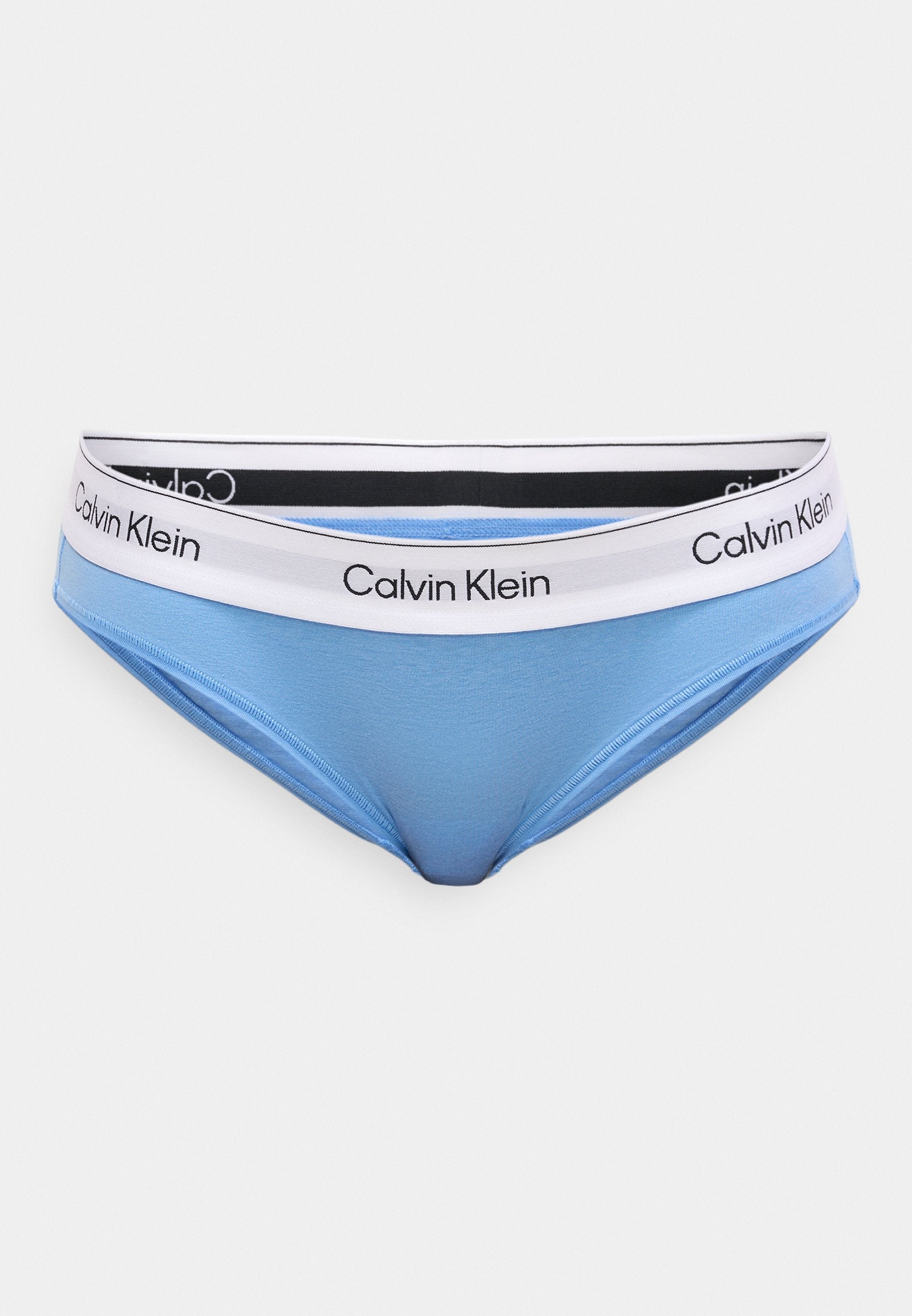 Bikini bottoms - blue descent