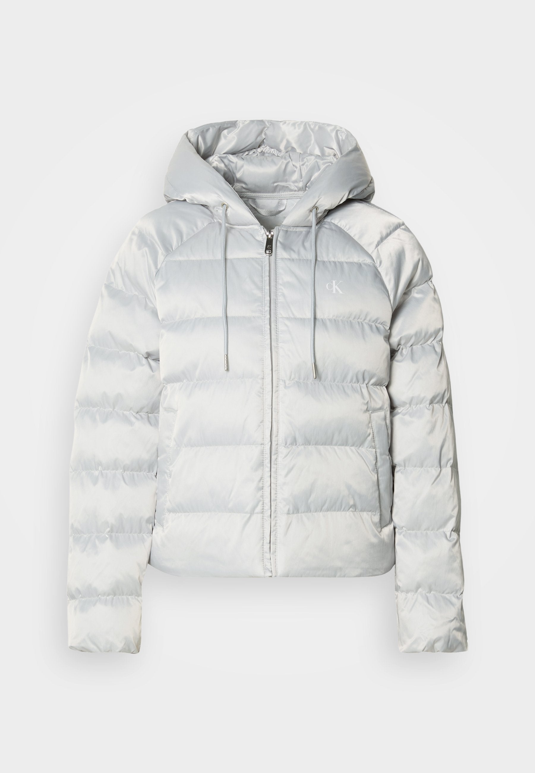 LIGHTWEIGHT LOGO  - Winter jacket - quiet gray