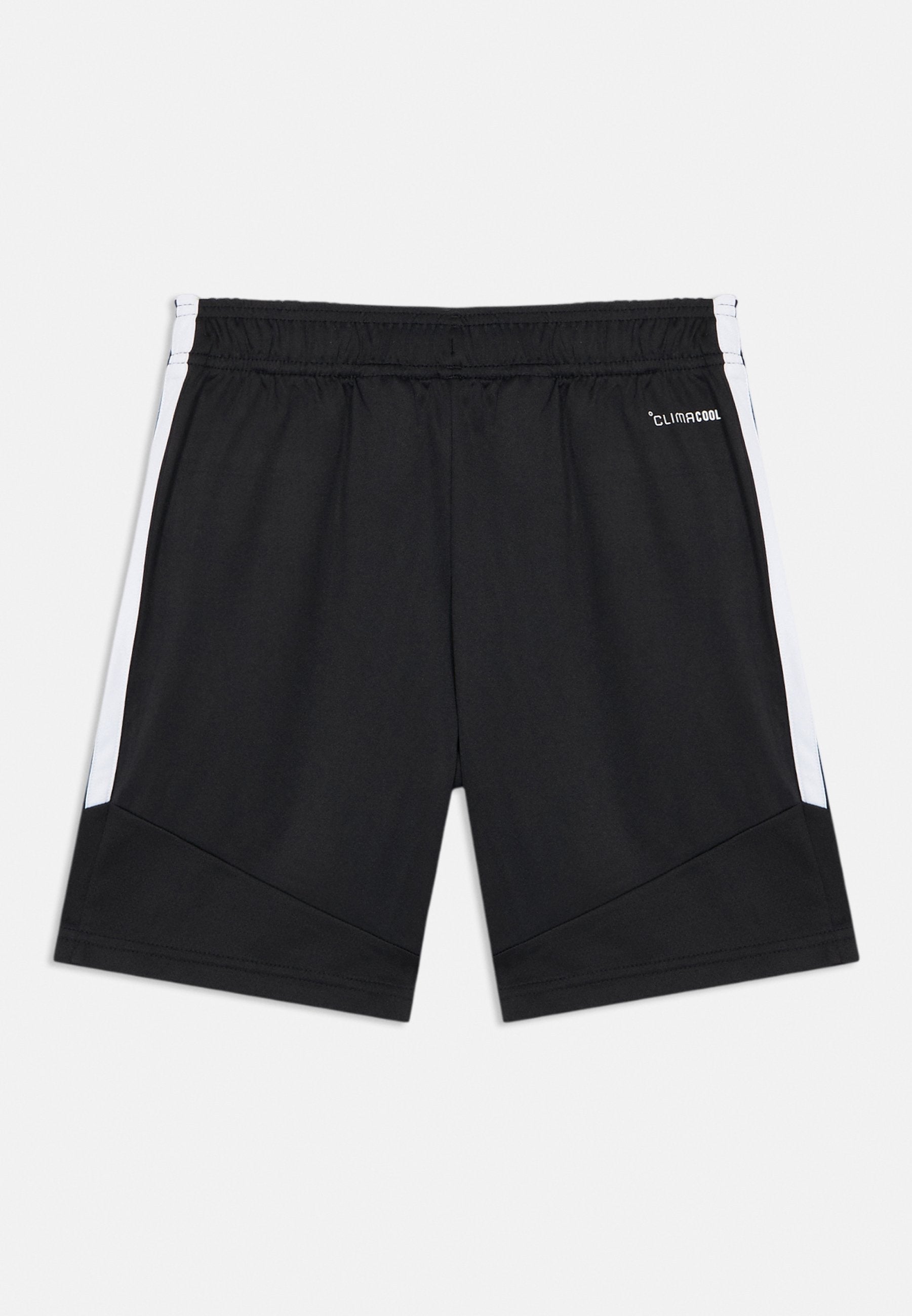 TIRO LEAGUE KIDS TRAINING UNISEX - Sports shorts - black/white