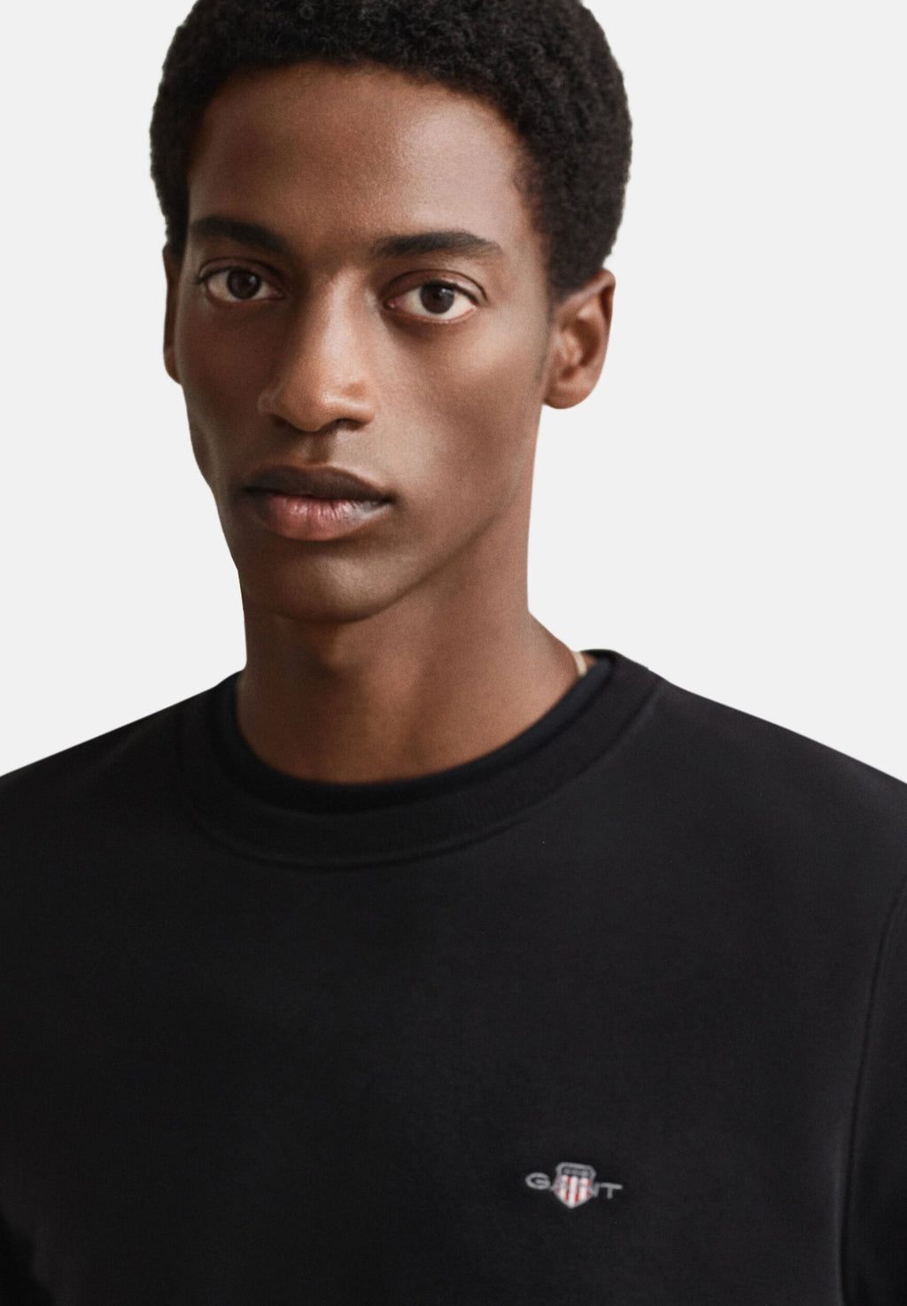 REG  SHIELD C NECK - Sweatshirt - black