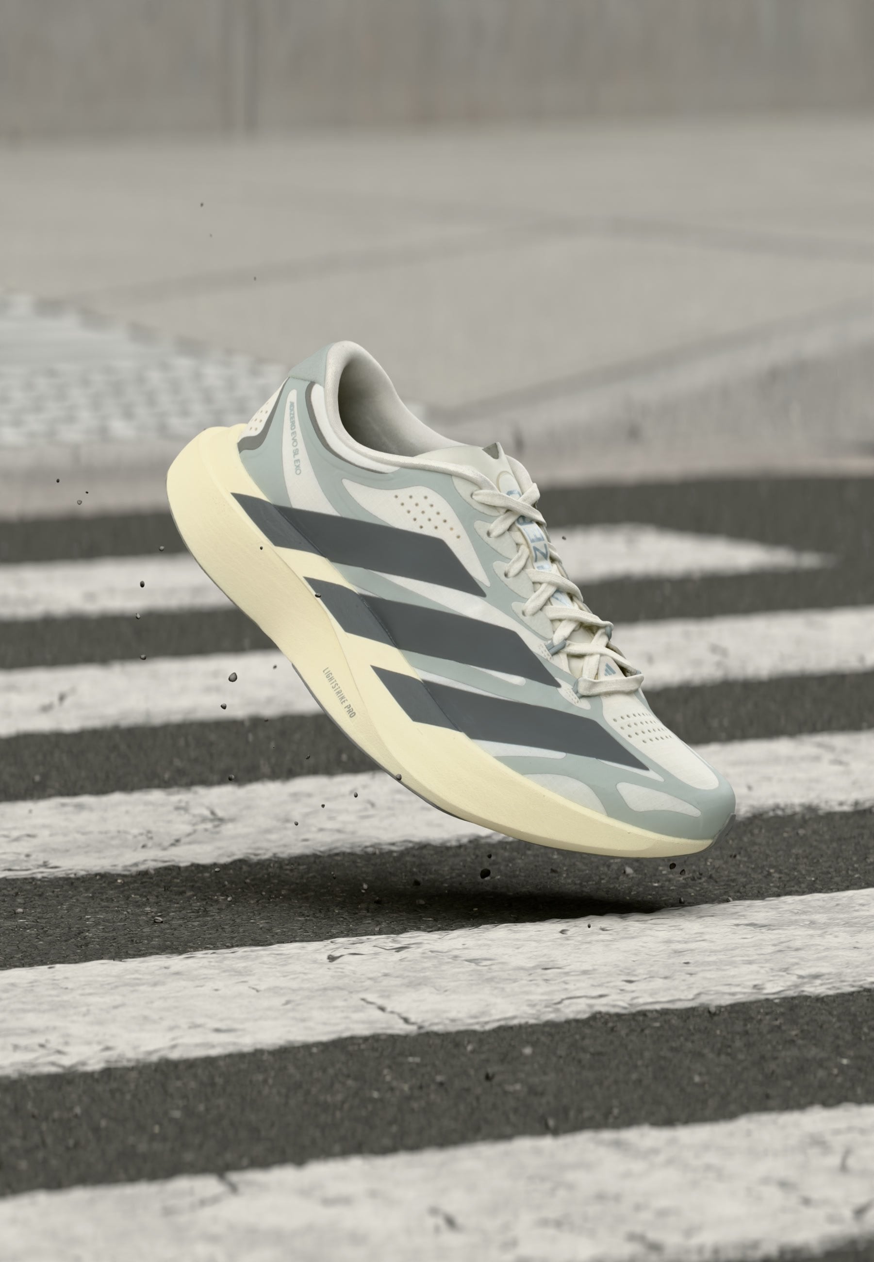 ADIZERO EVO SL EXO W - Road running shoes - cloud white/grey four/silver-coloured