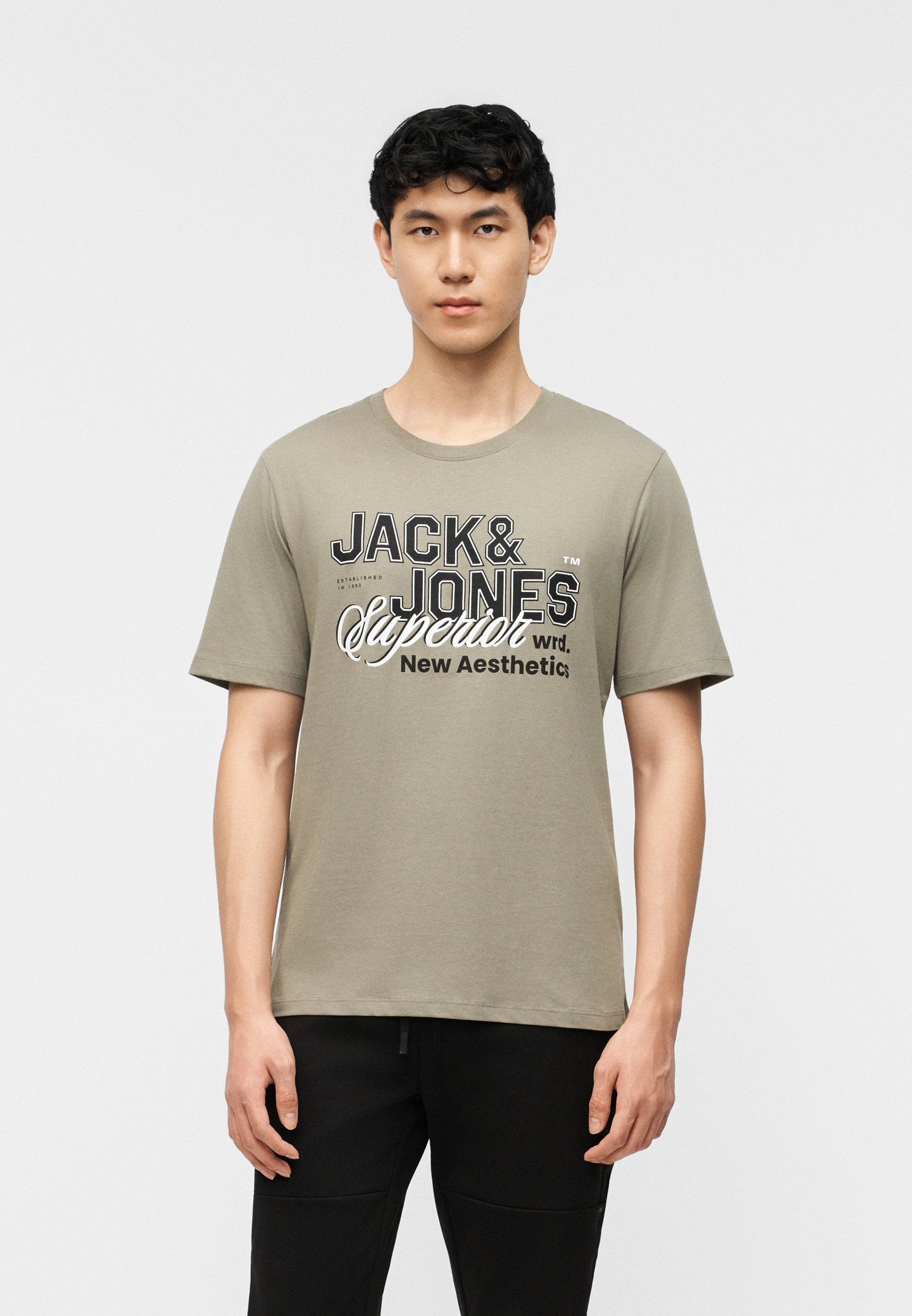 JJELOGO TEE O NECK 5 PACK - Print T-shirt - vetiver/blue mirage/mineral blue/atlantic deep/navy blazer