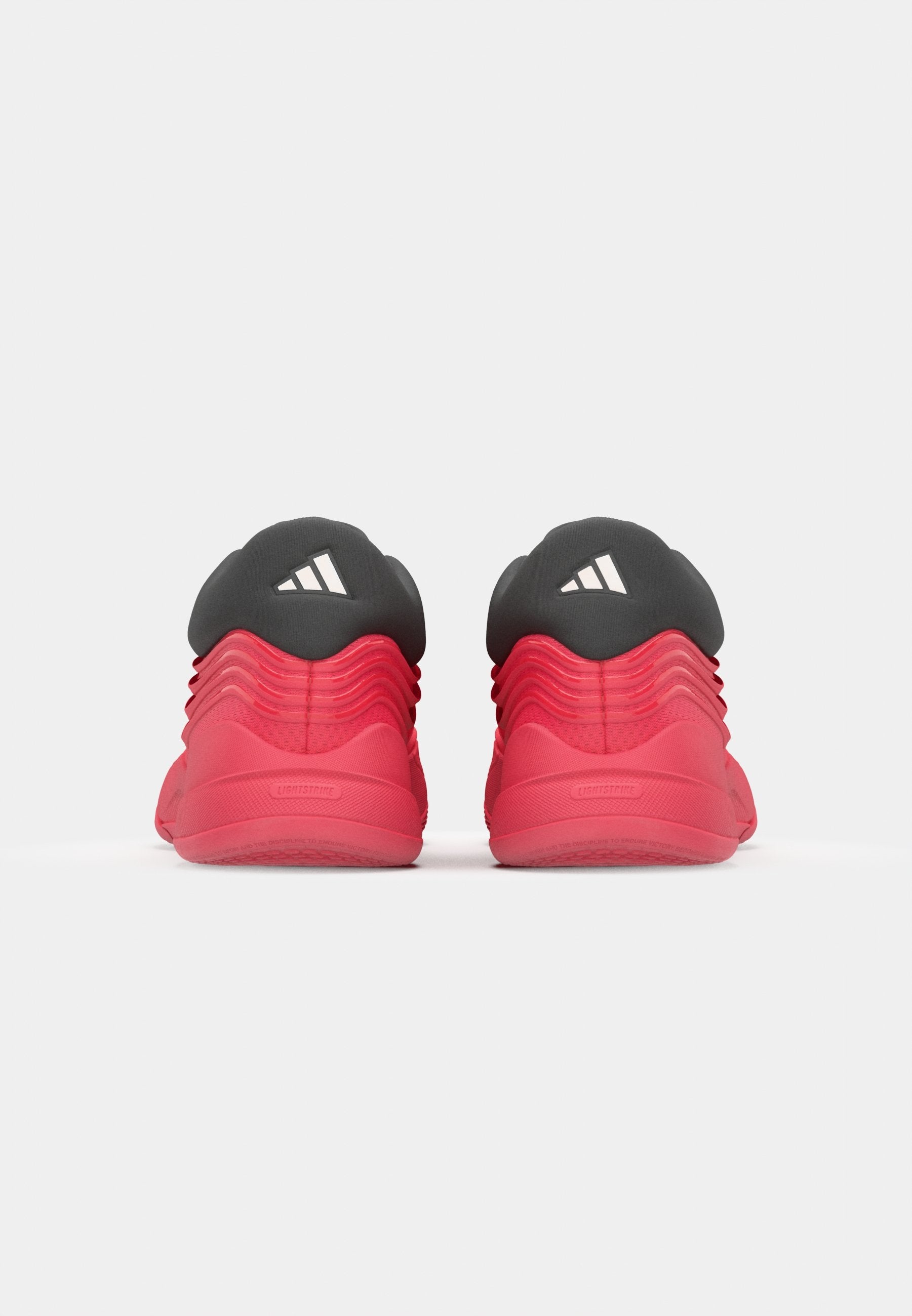 DAME X UNISEX - Basketball shoes - pure ruby/core black/metallic