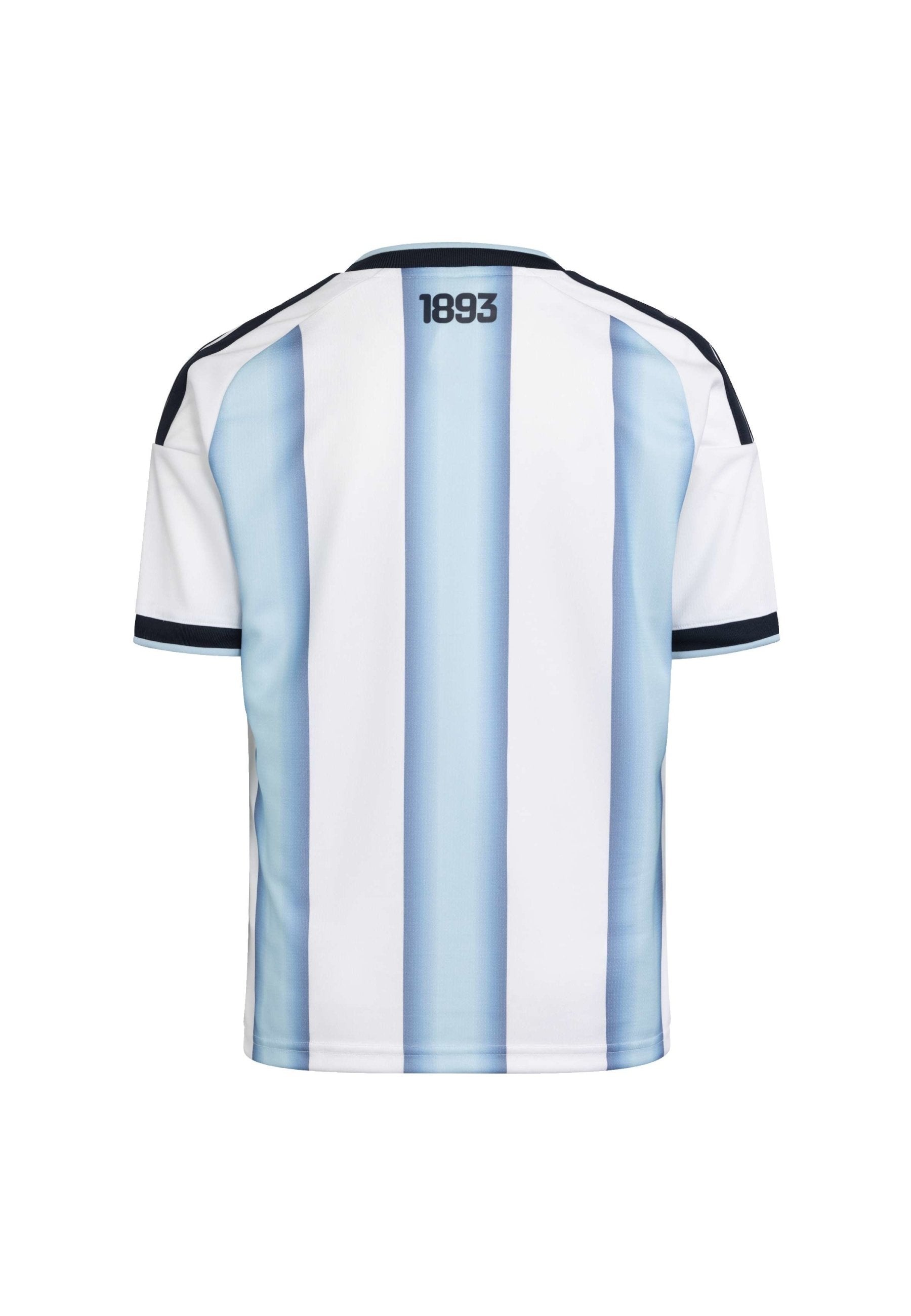 ARGENTINA 26 HOME - National team wear - white icey blue light blue