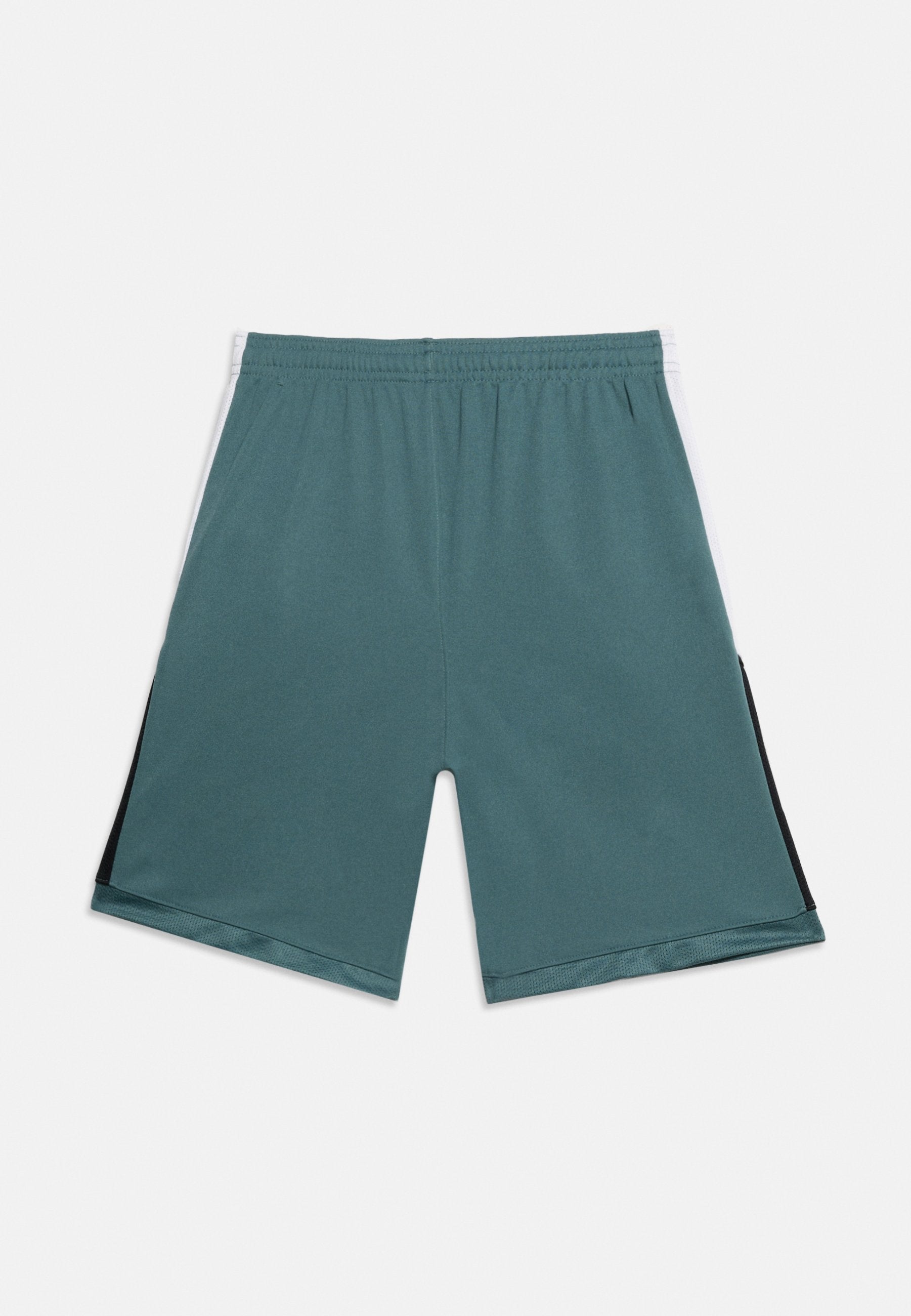 ACADEMY UNISEX - Sports shorts - mineral slate/white/black