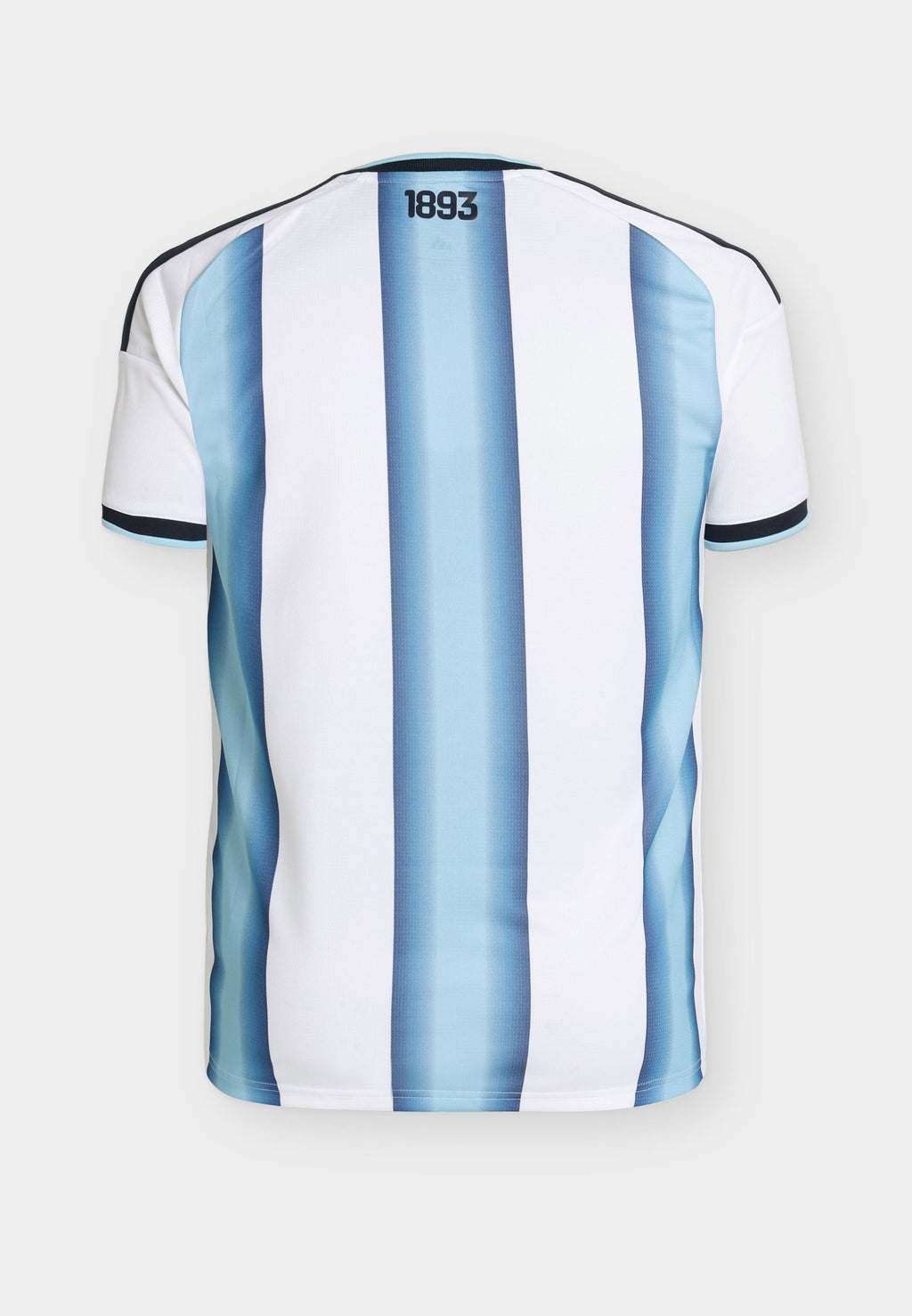 ARGENTINA 26 HOME - National team wear - white/icey blue