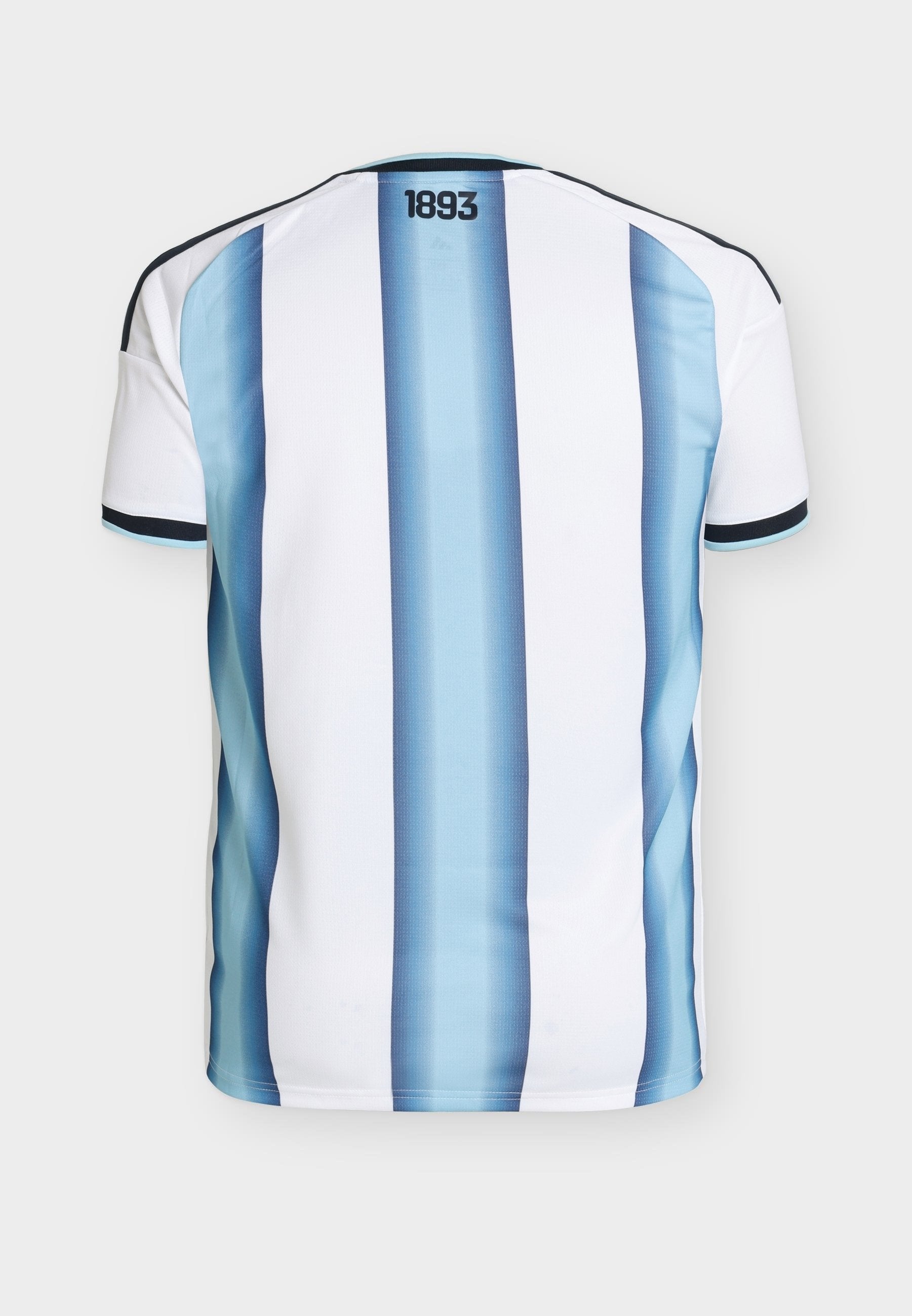 ARGENTINA 26 HOME - National team wear - white/icey blue