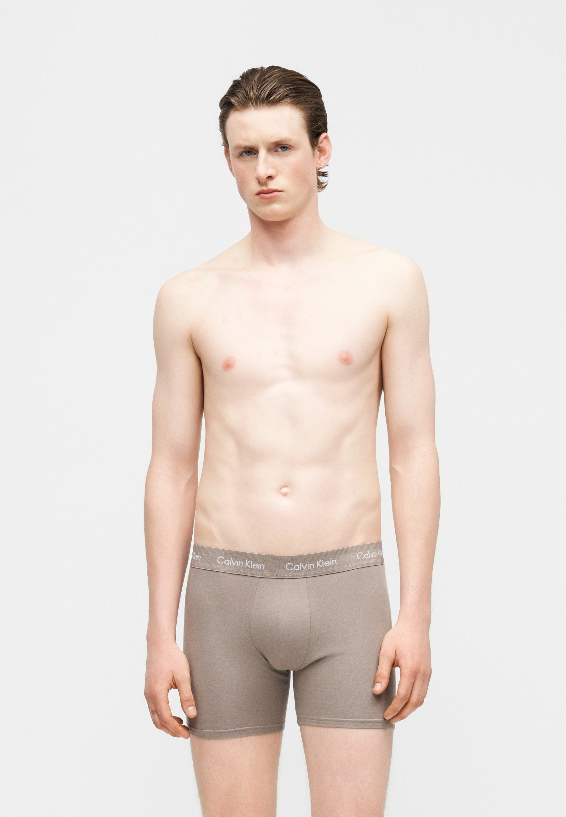 3 PACK - Boxer briefs - driftwood/moonlight blue/fanfare