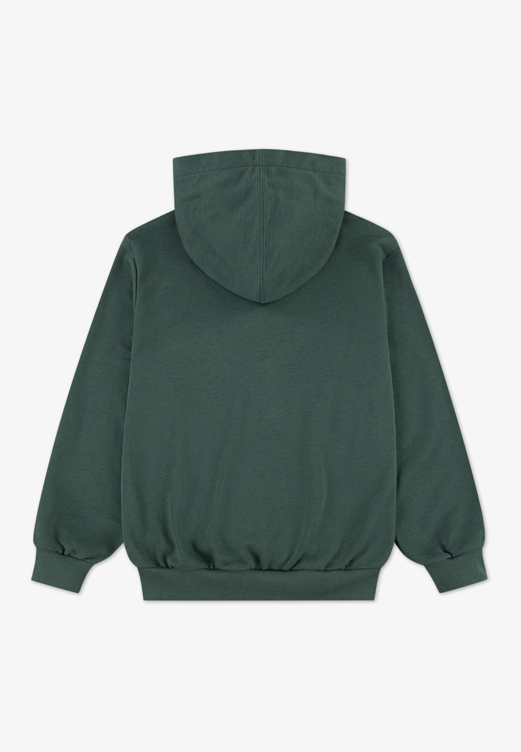 DISSECTED  - Hoodie - branch out