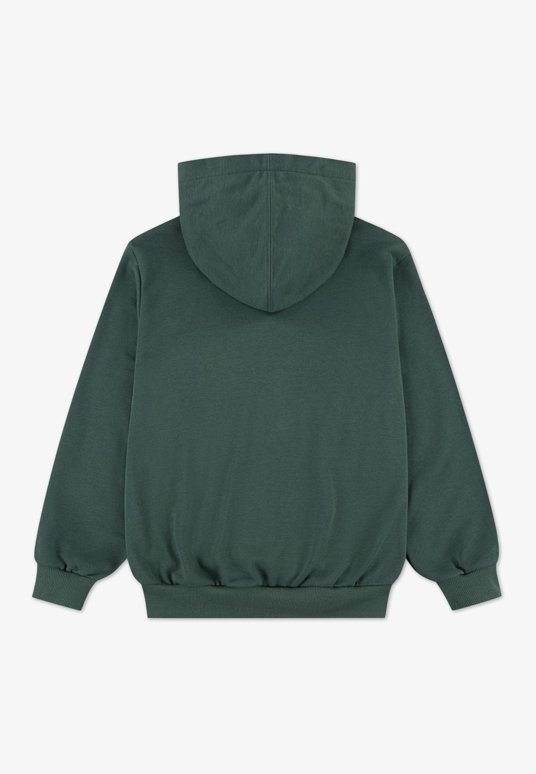 DISSECTED  - Hoodie - branch out