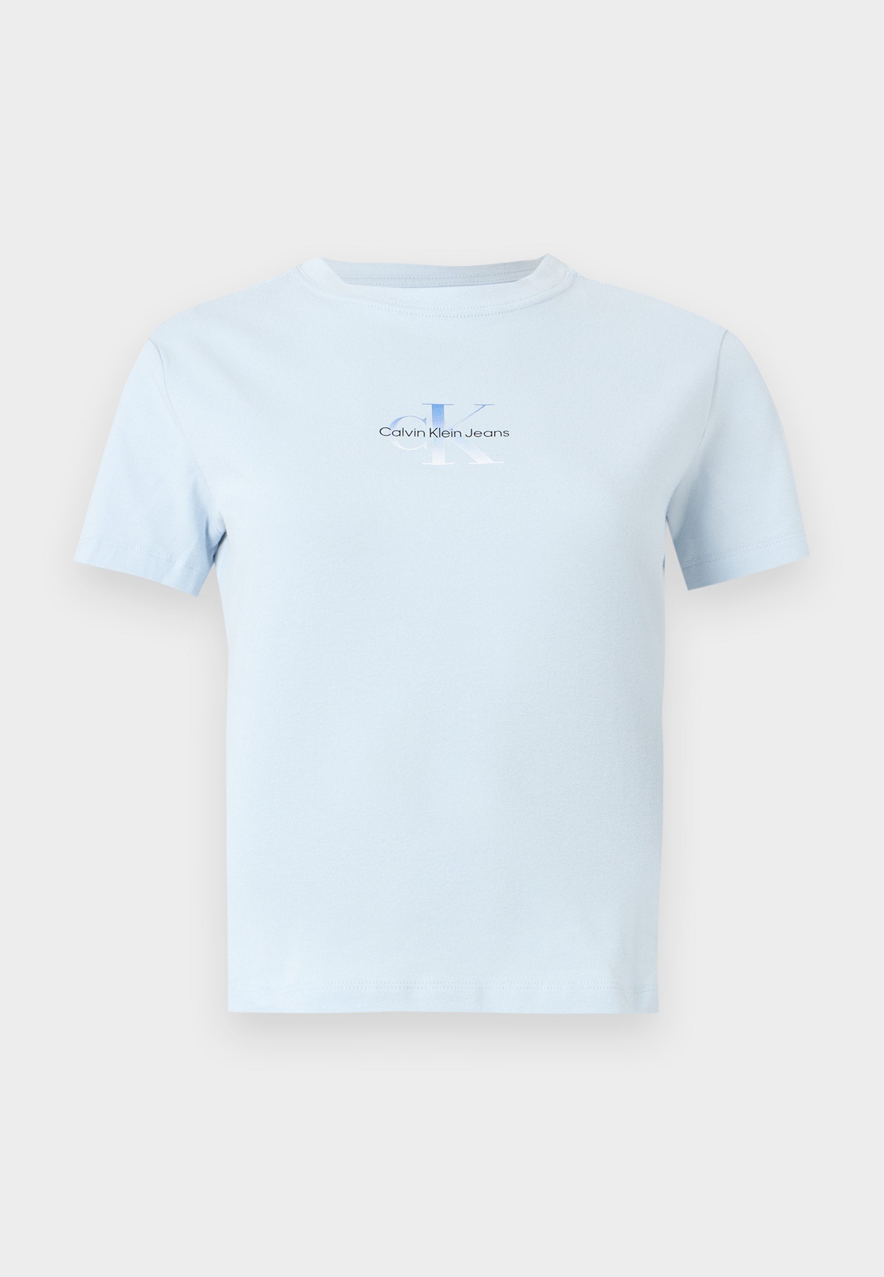 GRADIENT MONOLOGO SLIM TEE - Basic T-shirt - plein air