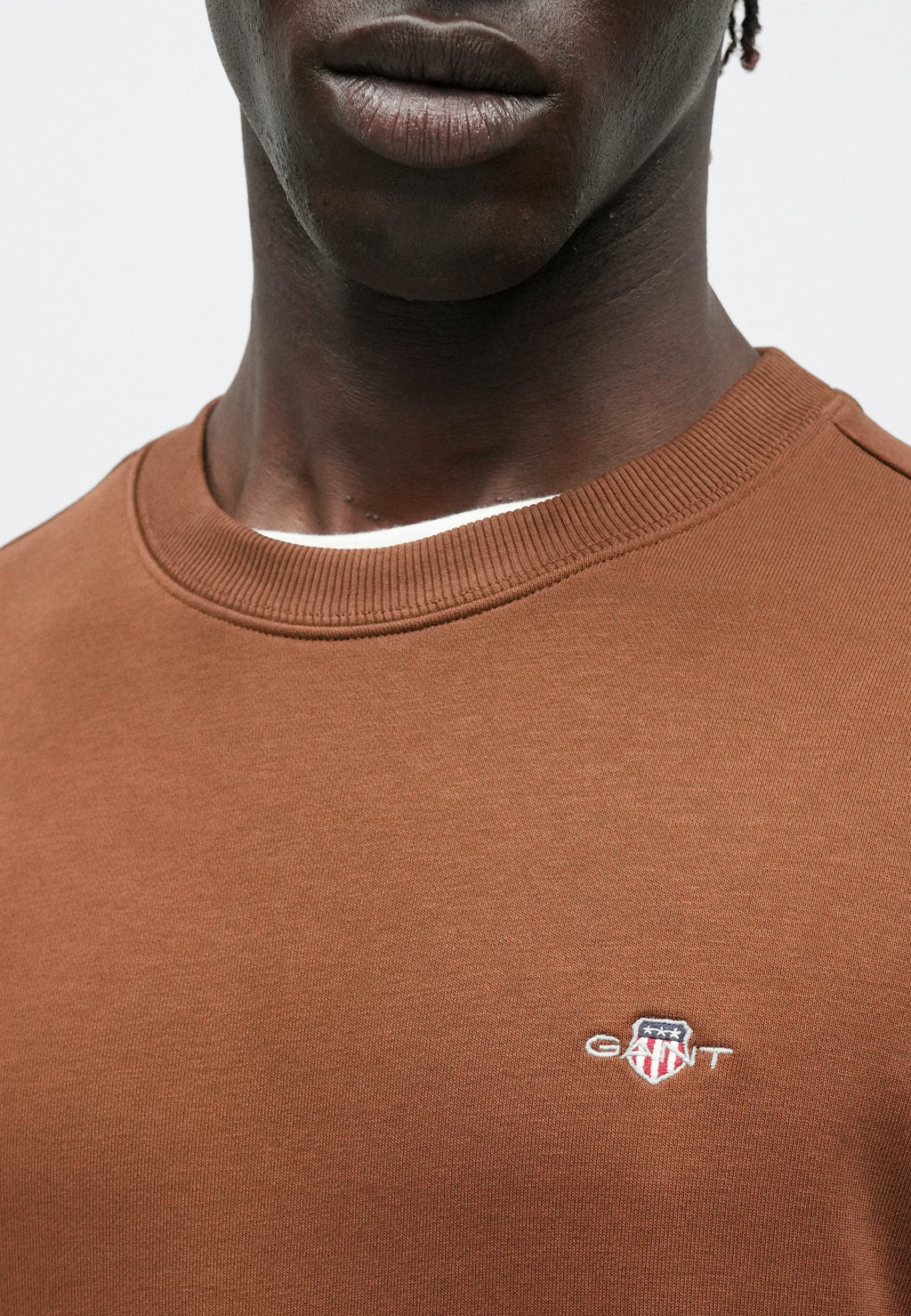 REG  SHIELD C NECK - Sweatshirt - mahogany brown