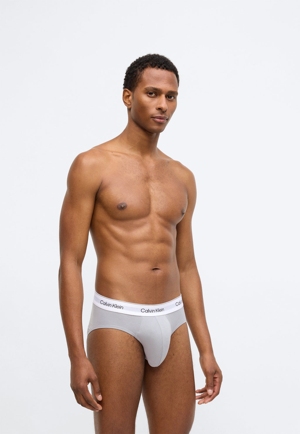HIP BRIEF 3 PACK ICON COTTON STRETCH - Briefs - sleet/black/ashford