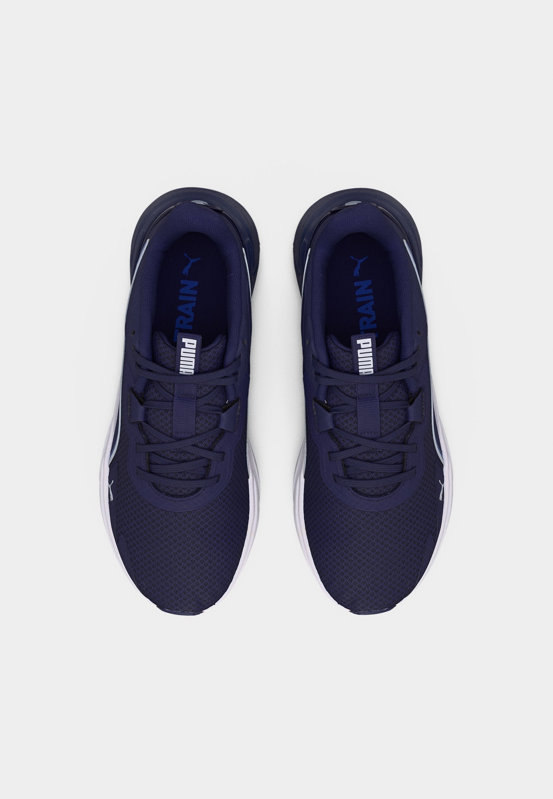 DISPERSE XT 4 - Training shoe - deep plum/royal sapphire/silver-coloured mist