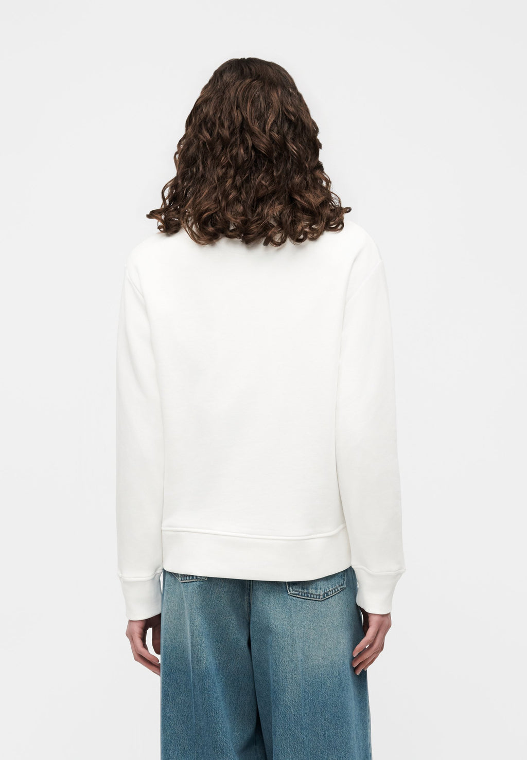 SHIELD HALF ZIP - Sweatshirt - kırık beyaz
