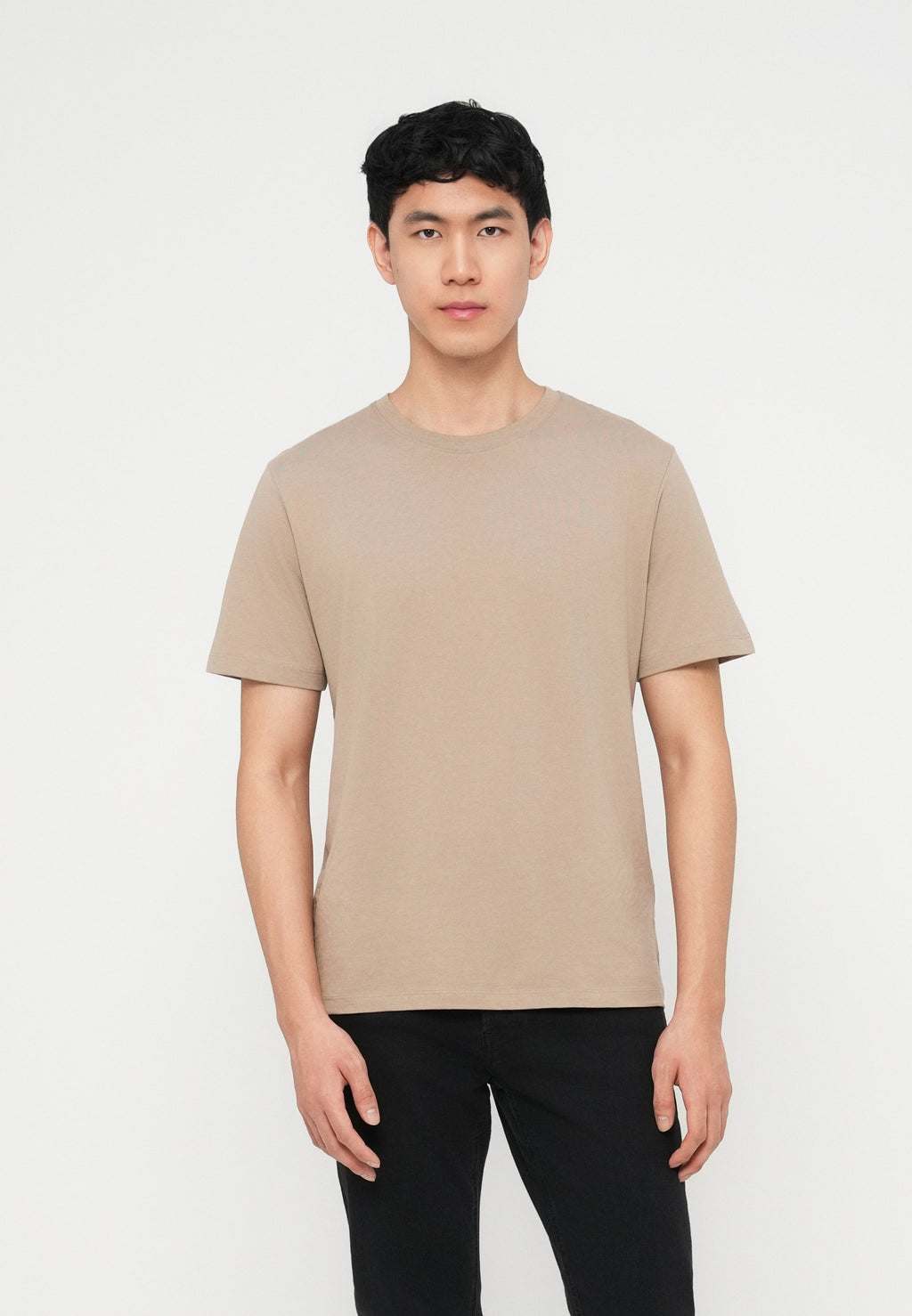 JJEORGANIC BASIC TEE O NECK 5 PACK - T-shirt basique - moonbeam/crockery/olive night/castlerock/ultimate grey