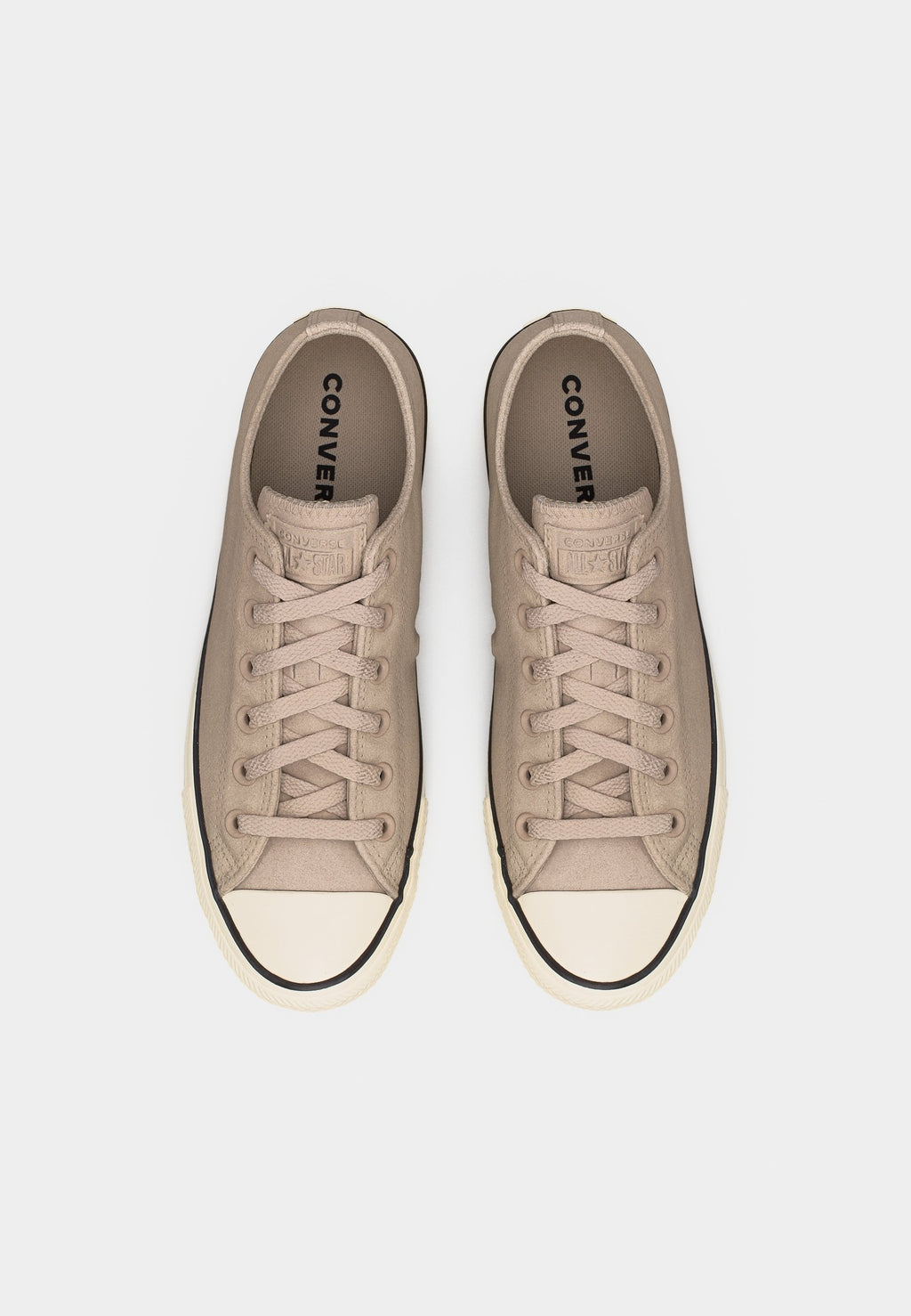 CHUCK TAYLOR ALL STAR COLORFUL UNISEX - Trainers - papyrus/black/egret