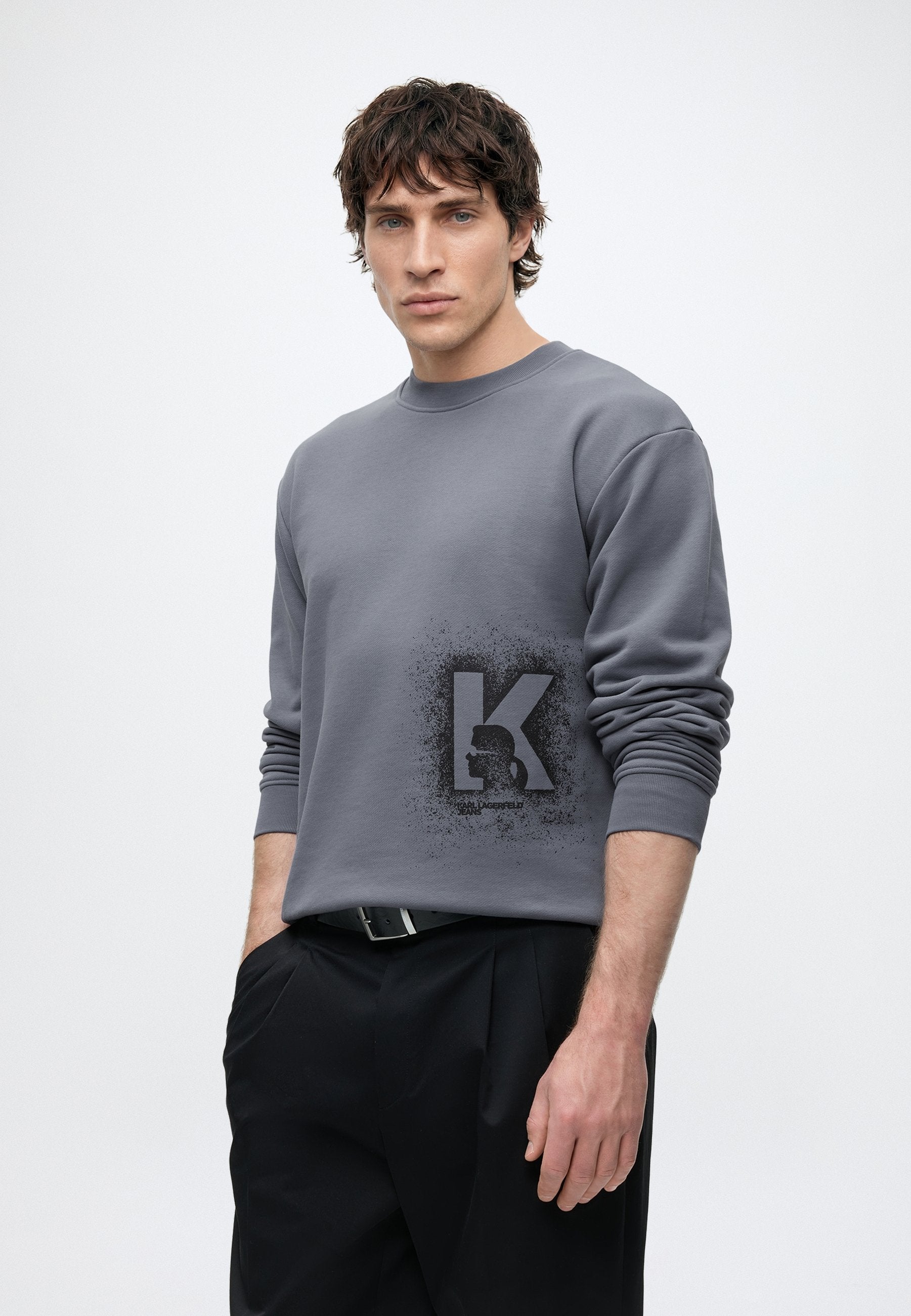 REG LOGO SWEAT - Sweatshirt - grisaille