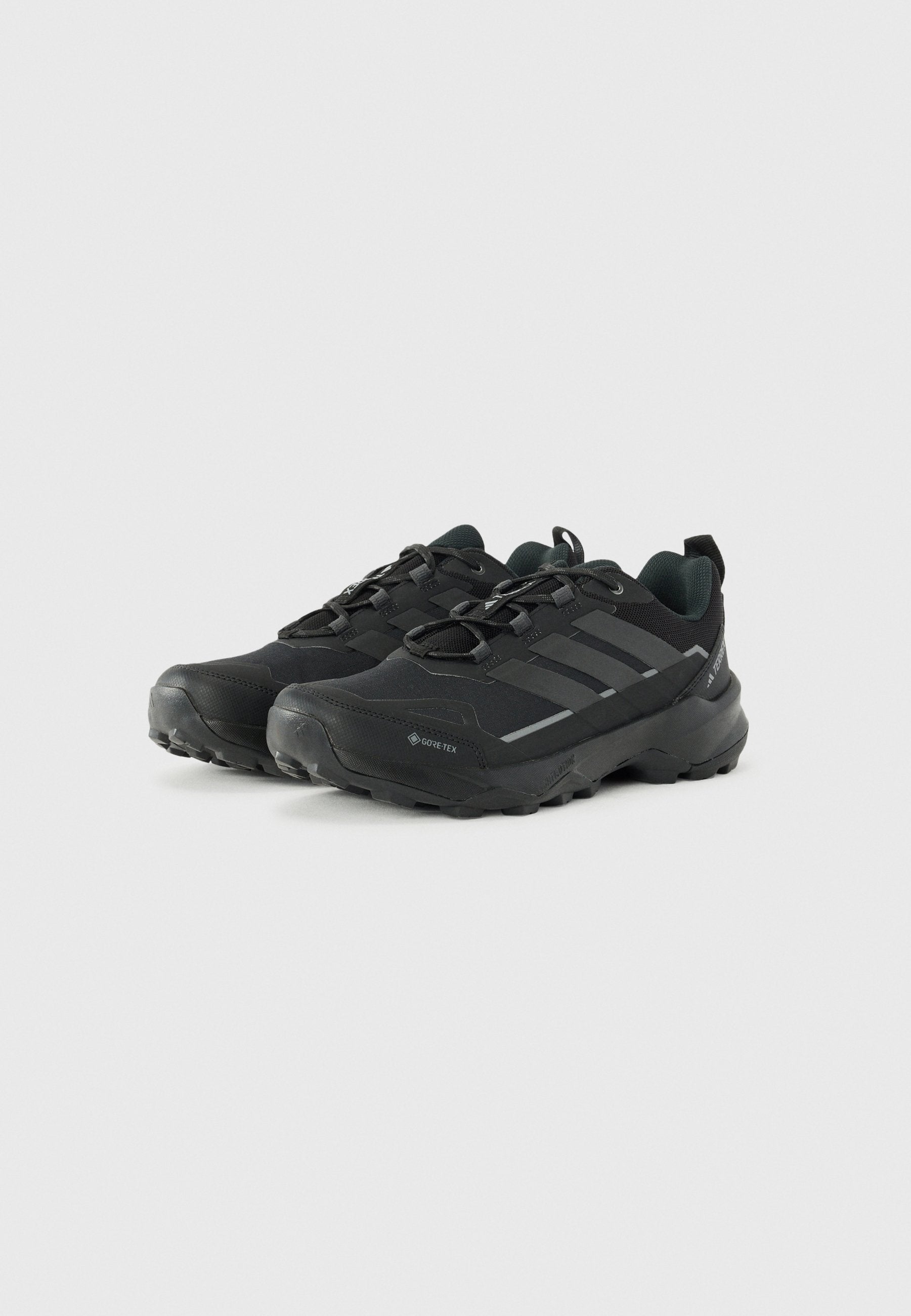 SKYCHASER AX5 GTX - Hiking shoes - core black/carbon