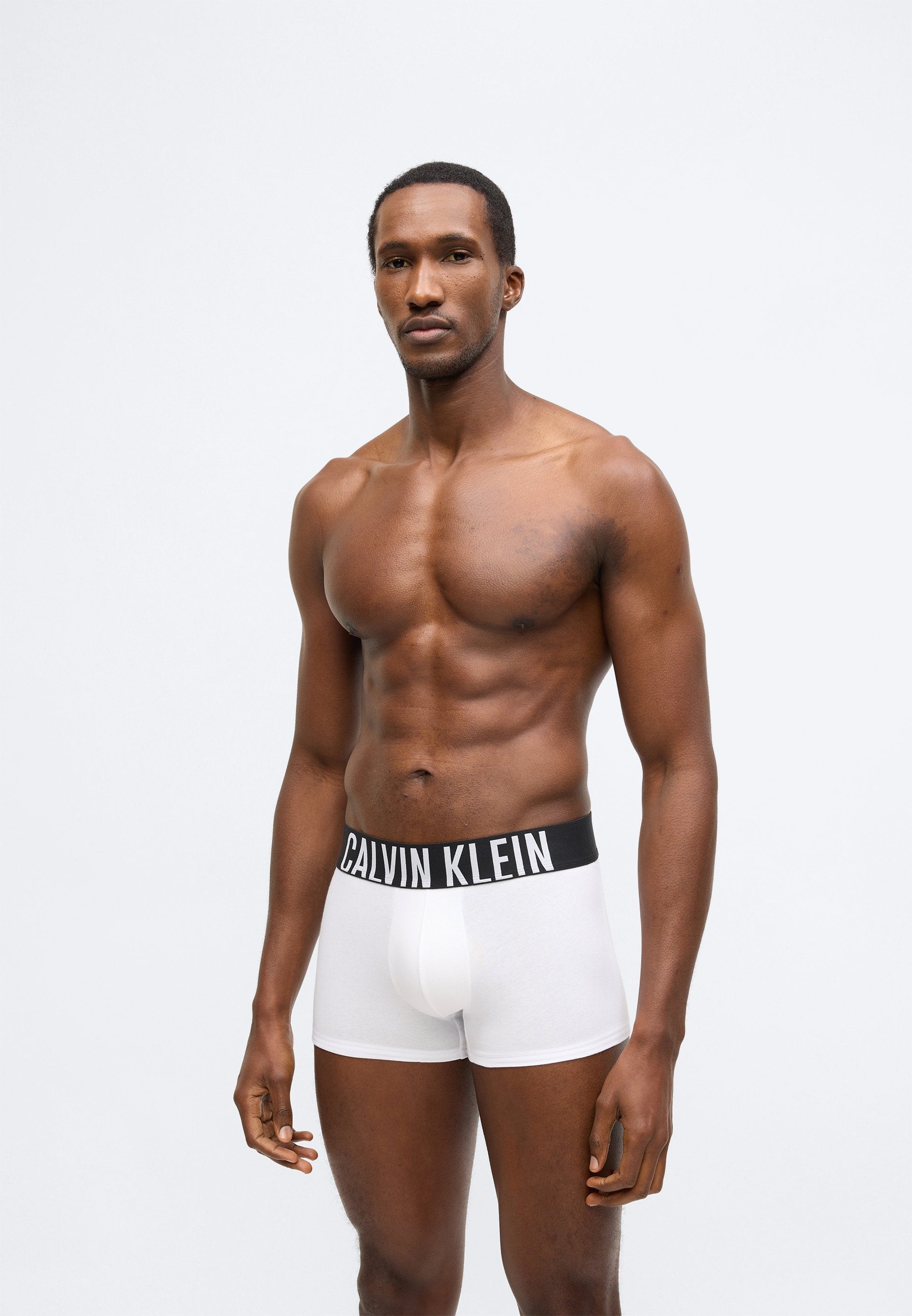 TRUNK INTENSE POWER COTTON 3 PACK - Trunks - turbulence/white/iris bliss