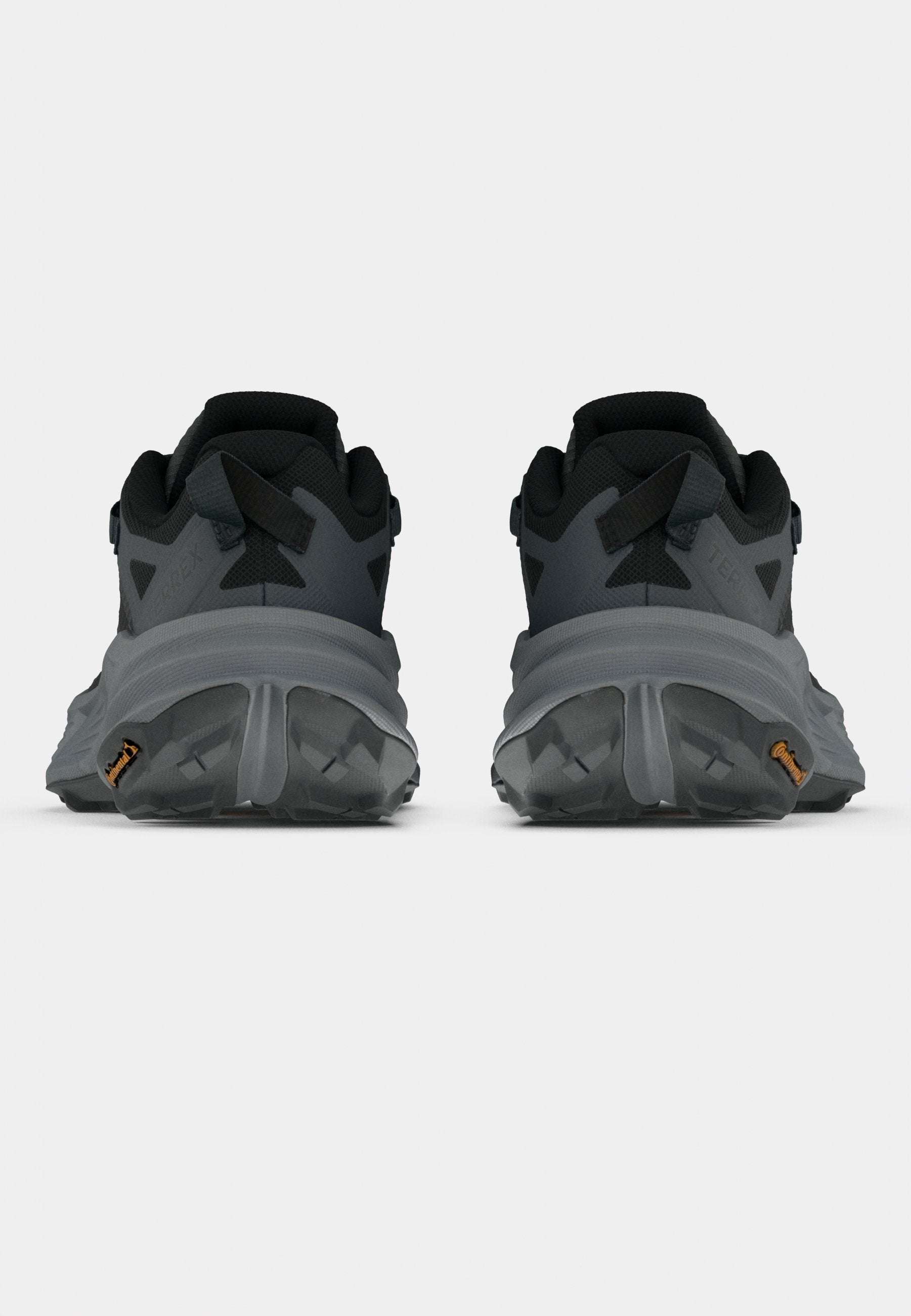TERREX FREEHIKER SL GTX  W - Hiking shoes - grey six/core black/grey three