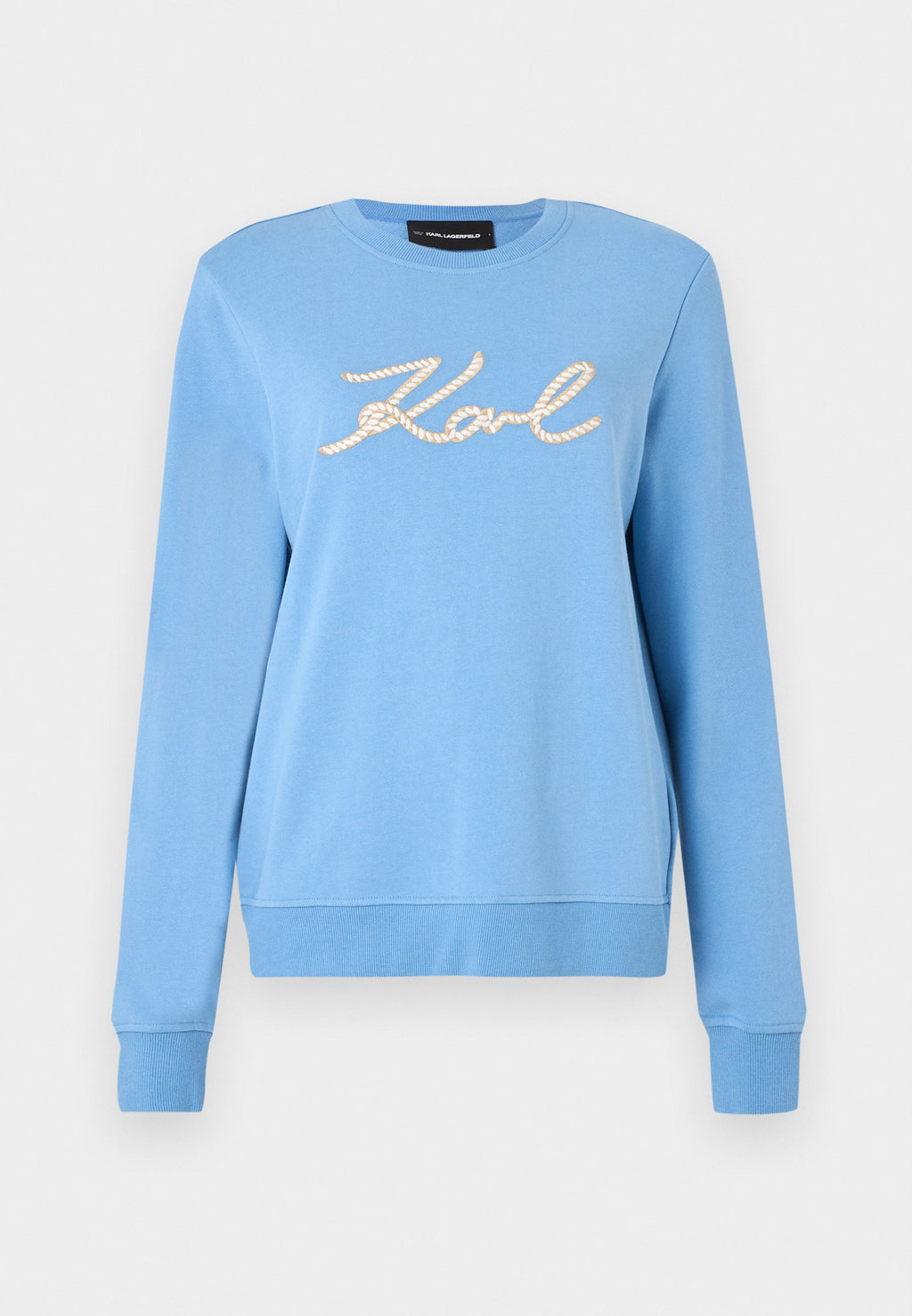 ROPE LOGO - Sweatshirt - silver-coloured lake blue