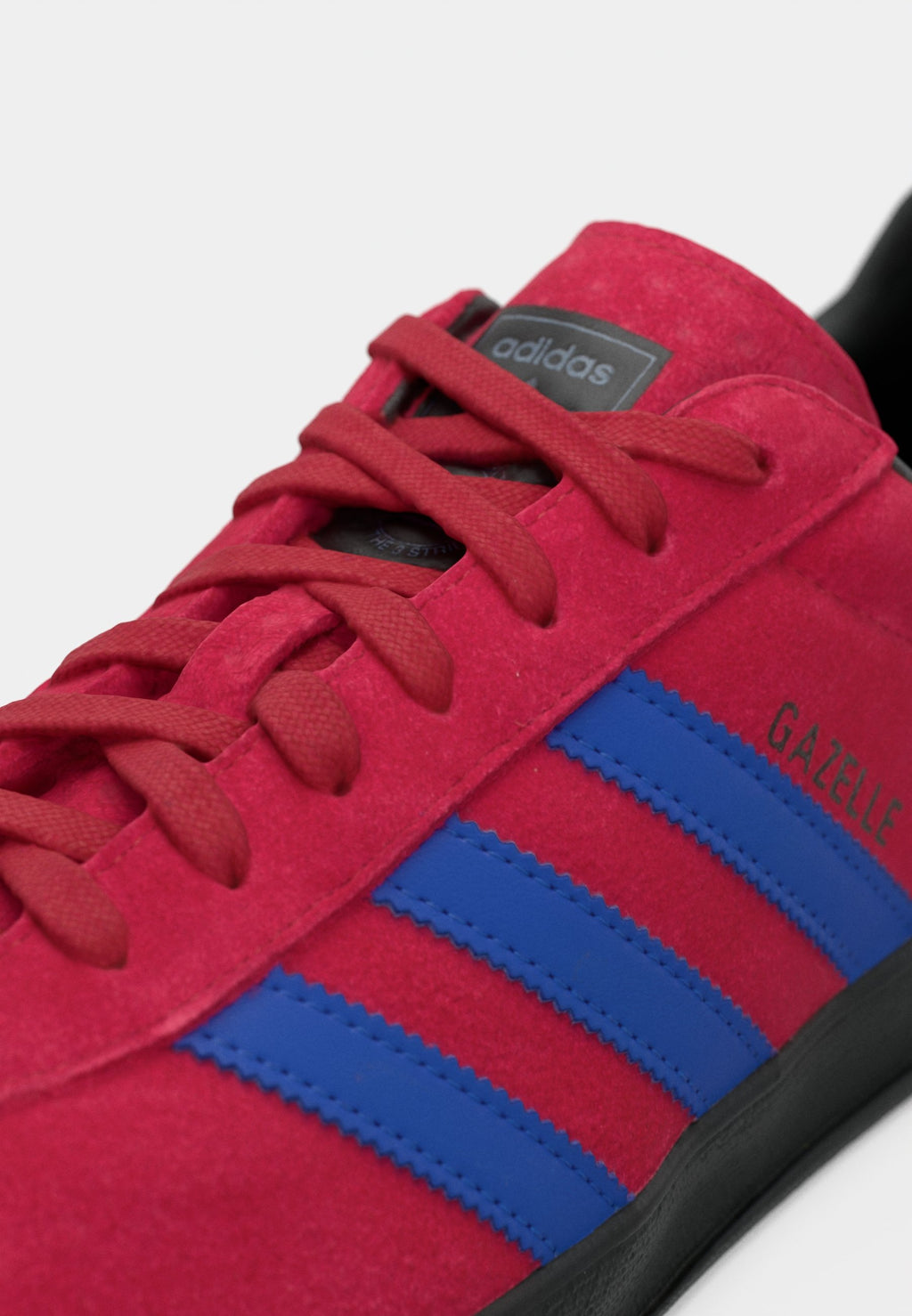 GAZELLE INDOOR PRO UNISEX - Trainers - team victory red/core black