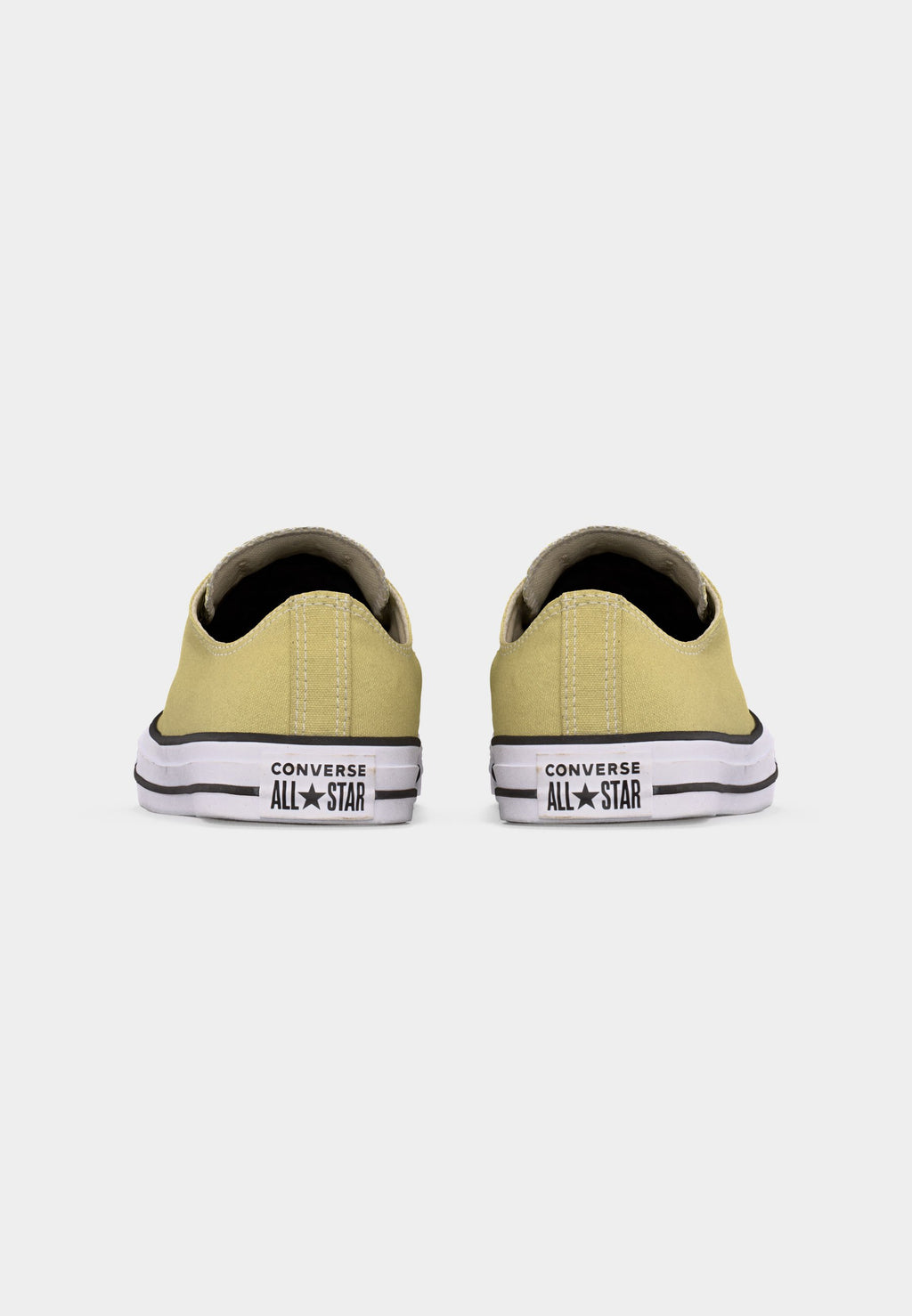 CHUCK TAYLOR ALL STAR UNISEX - Trainers - festival field