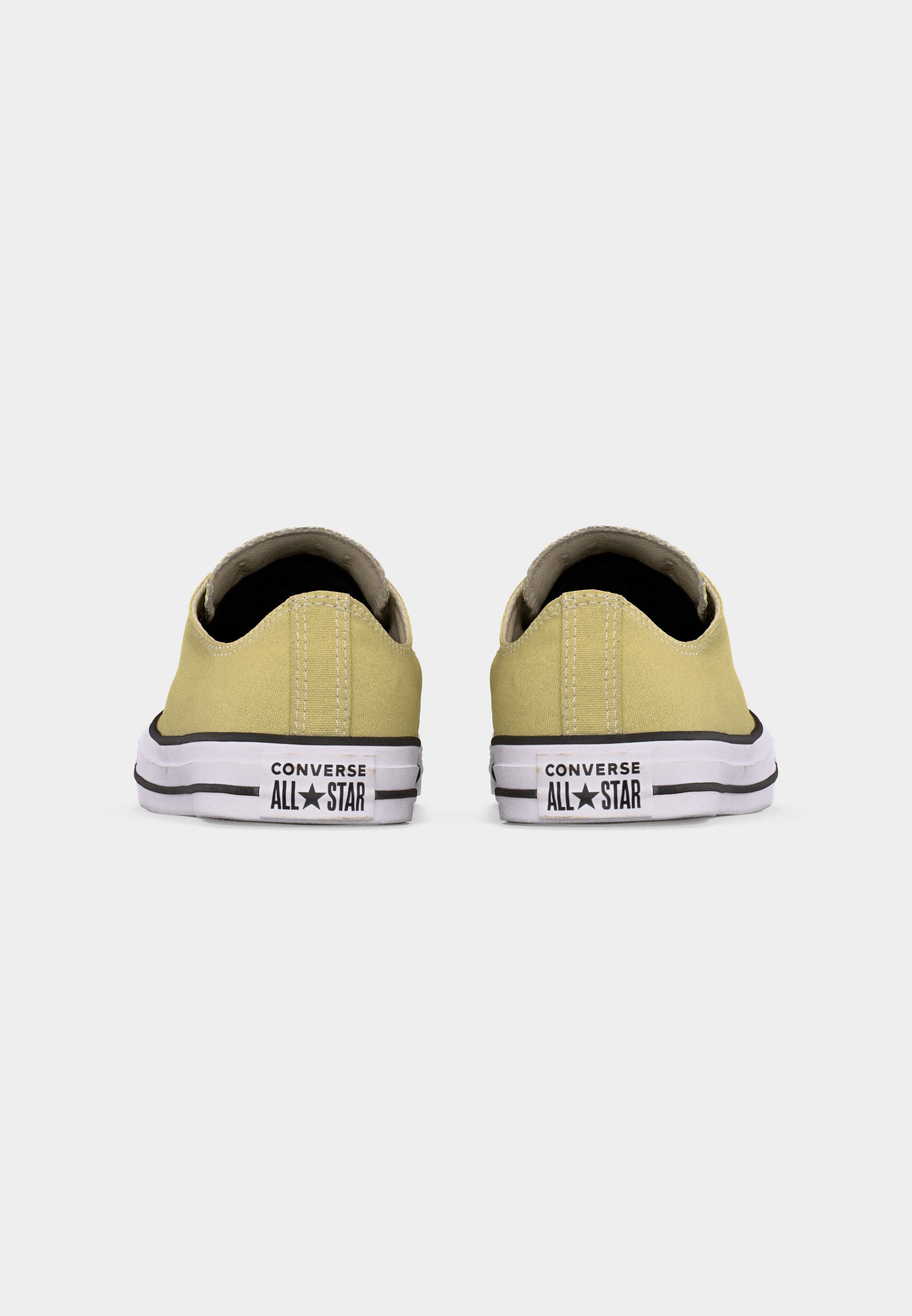 CHUCK TAYLOR ALL STAR UNISEX - Trainers - festival field